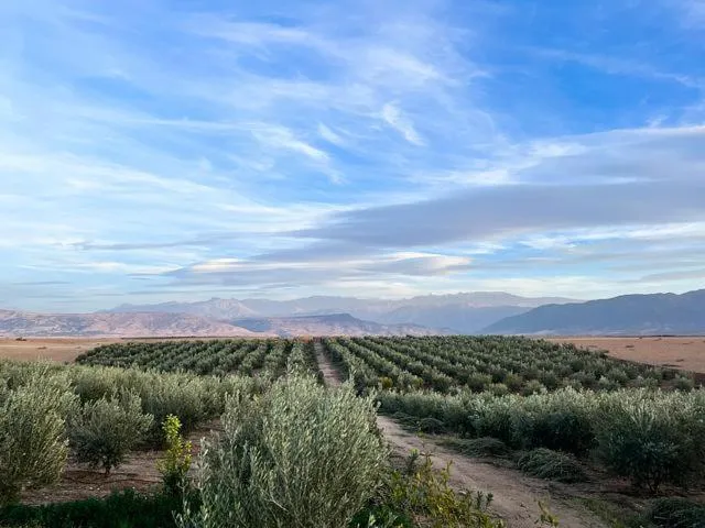 Day in Les Jardins d Amizmiz 6 piscines