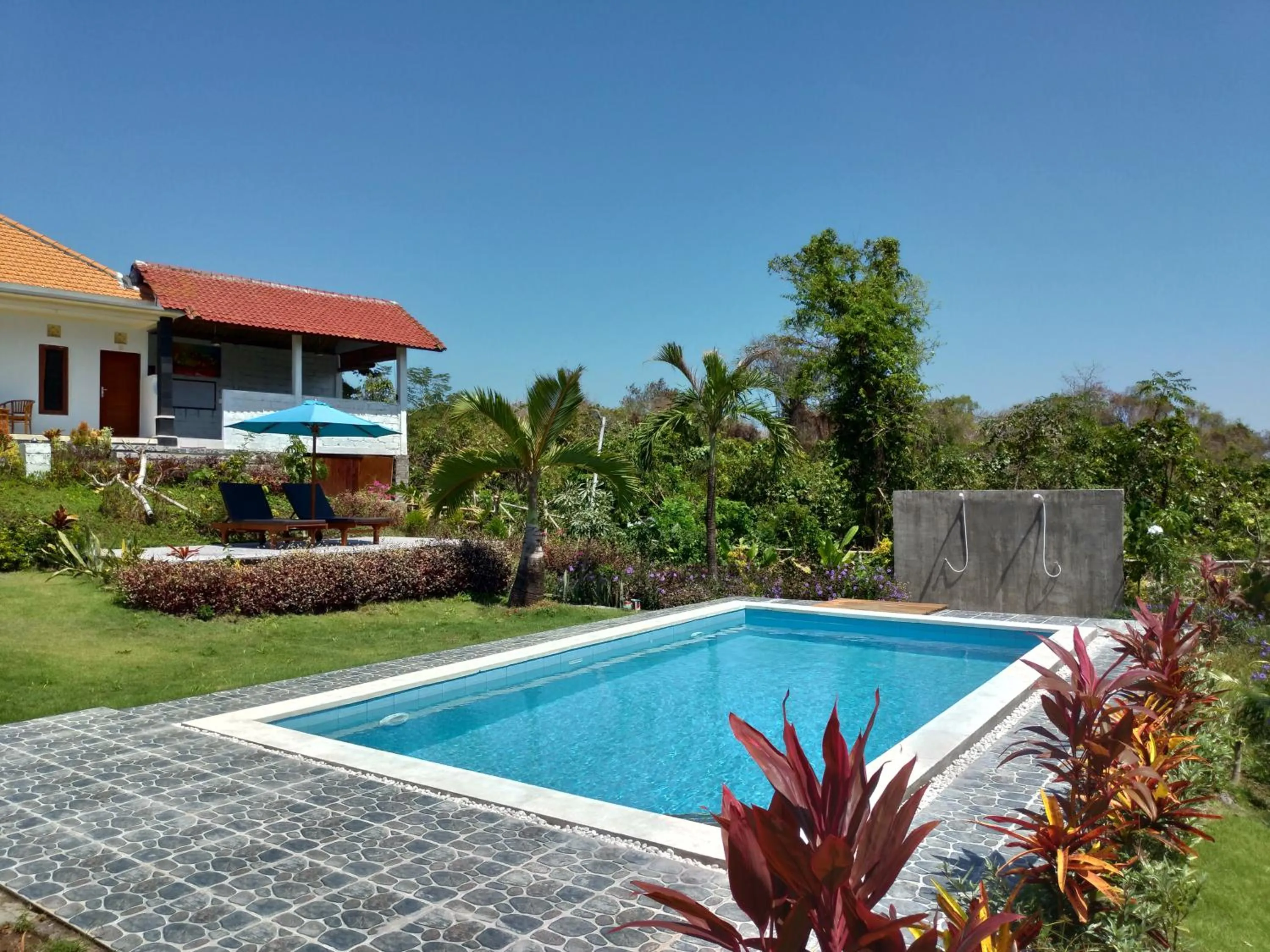 Swimming pool in The Pande Hill Homestay