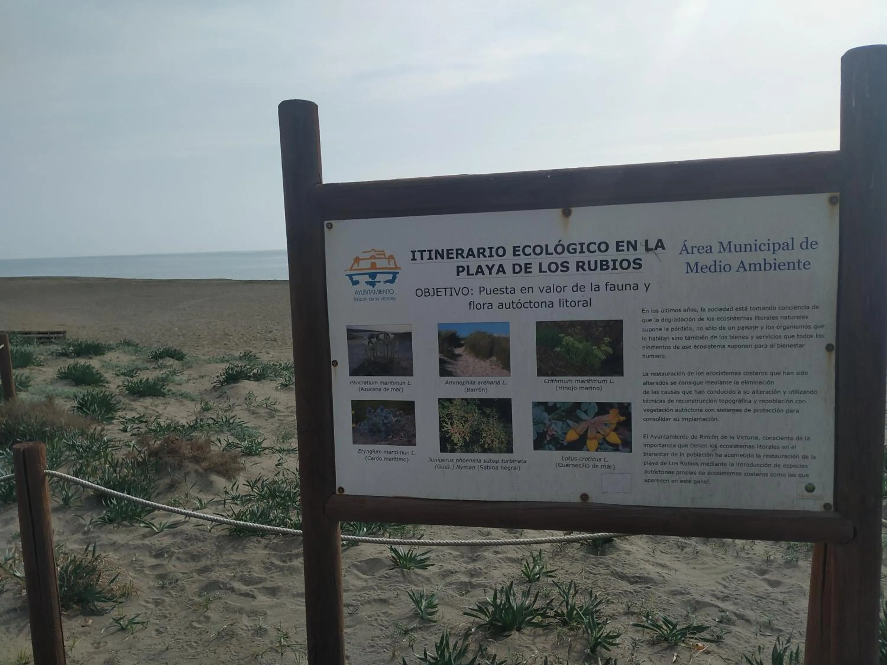 Certificate/Award in Suites Beach Nature