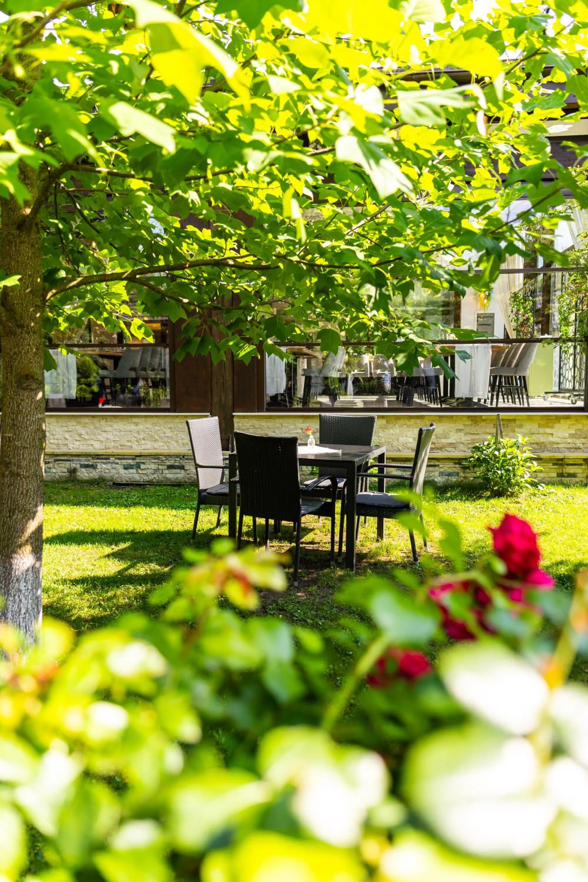 Armonia by Aristocratis