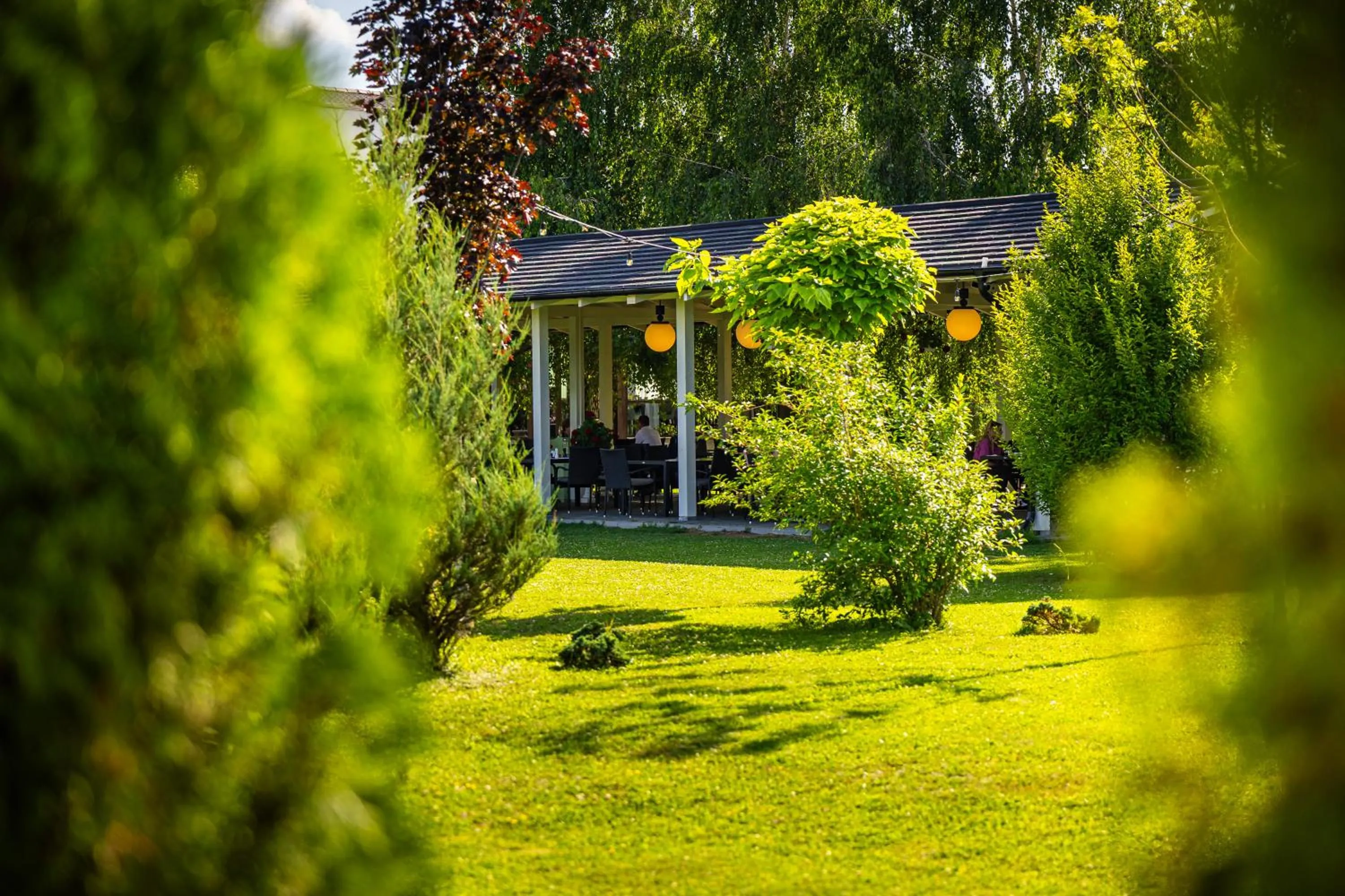 Armonia by Aristocratis