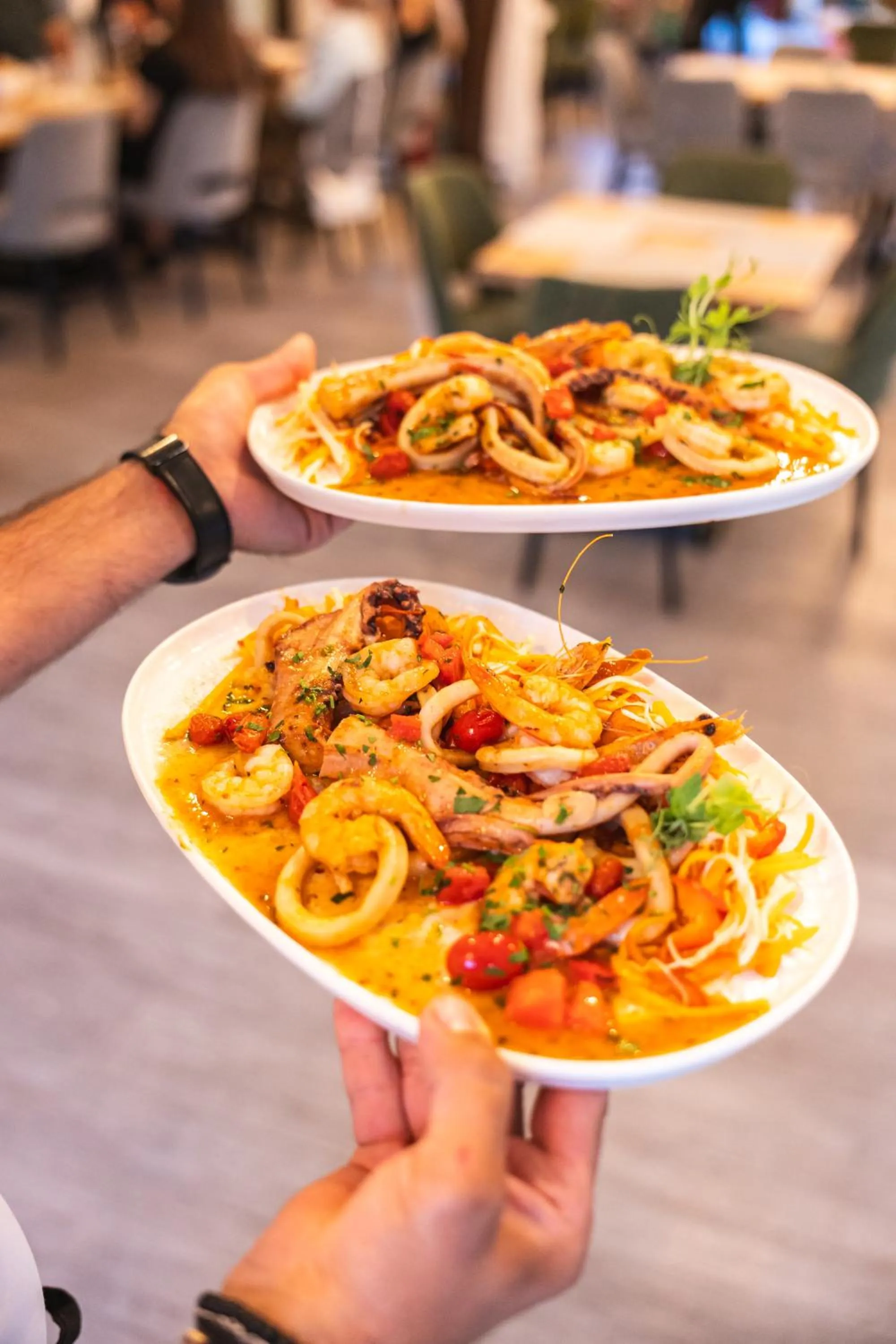 Armonia by Aristocratis