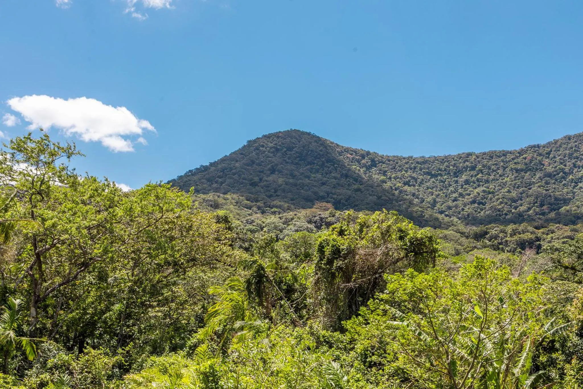 Mountain view in Pousada In Bali - Maresias
