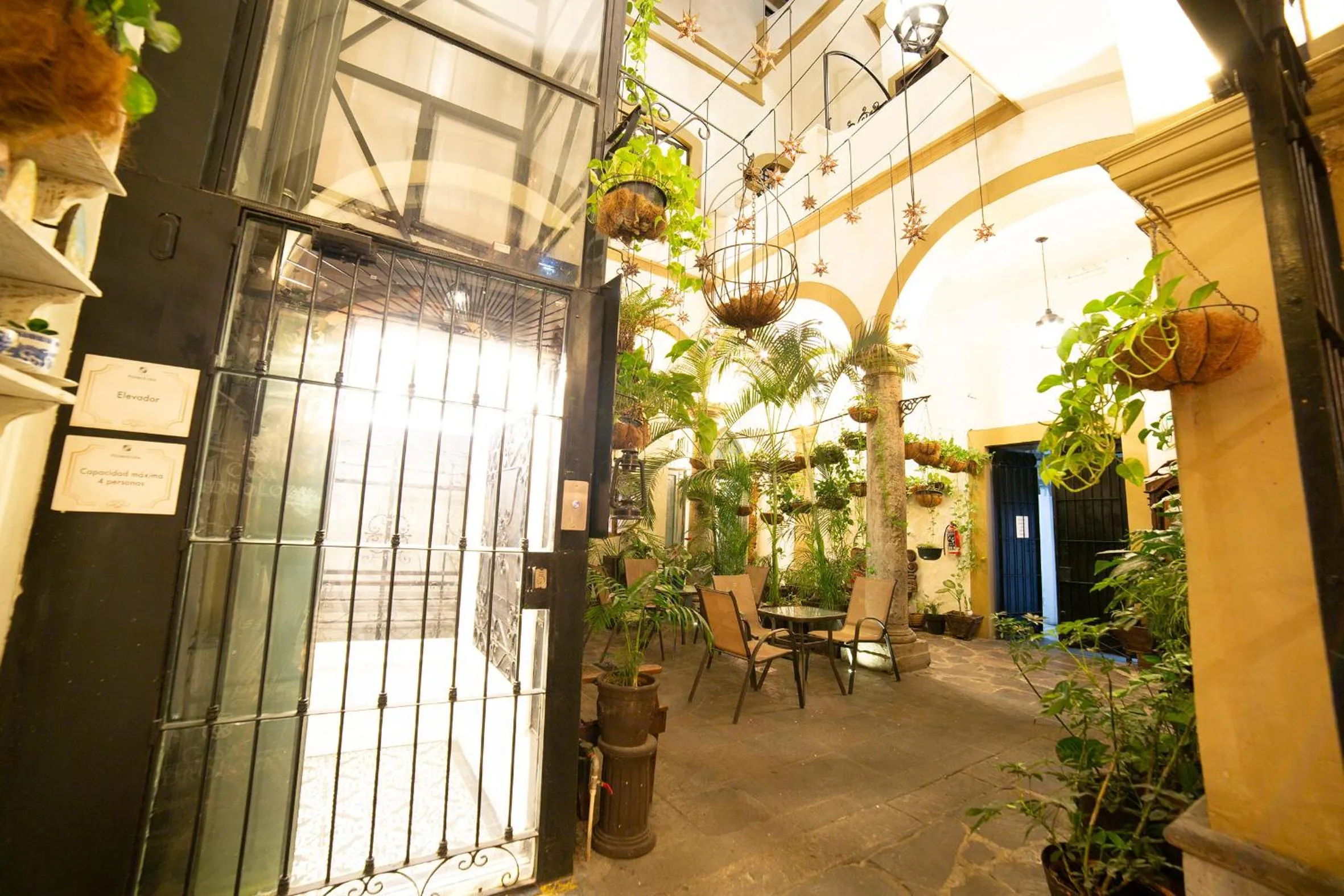 Garden in Casa Pedro Loza