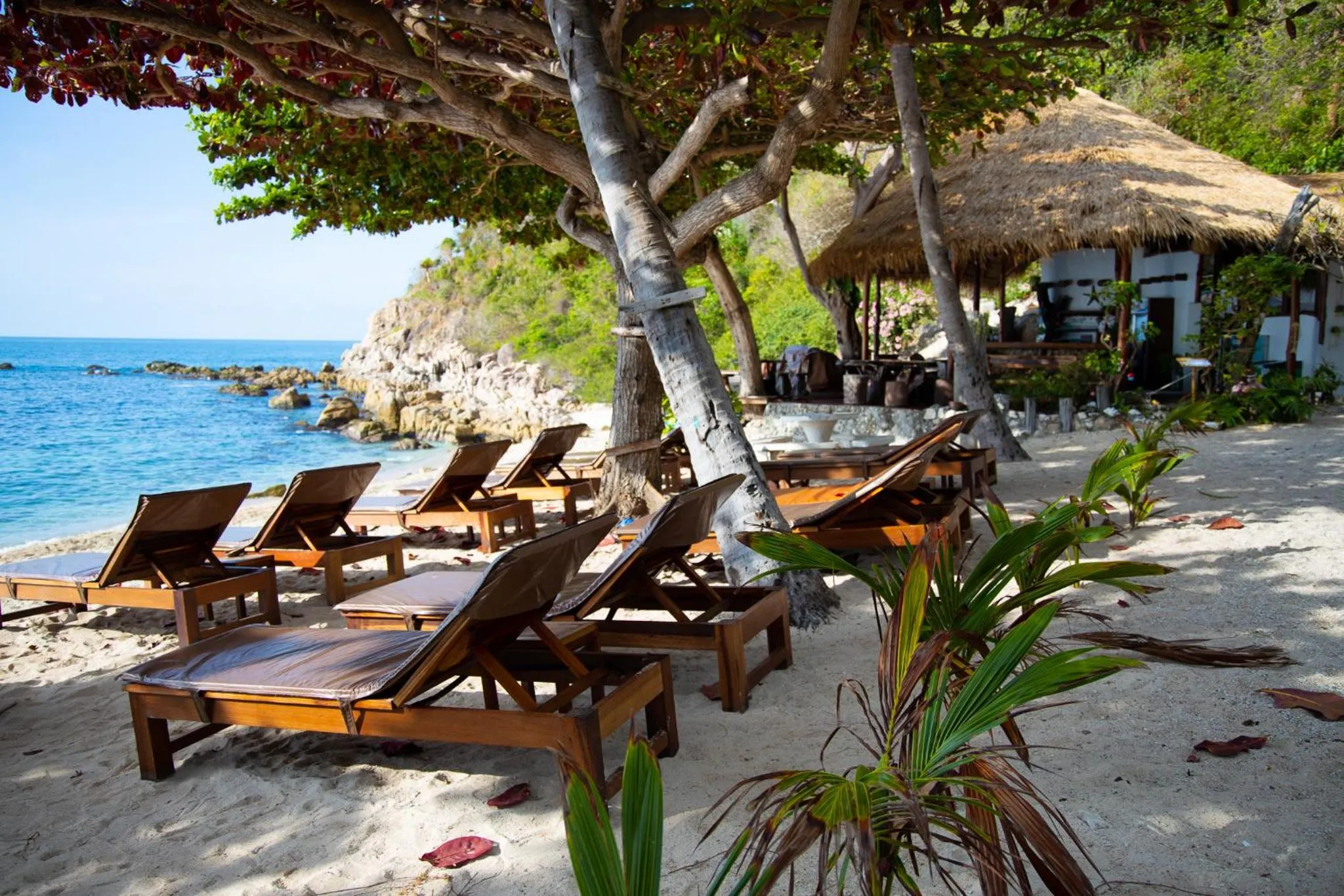 Beach in Coral View Resort