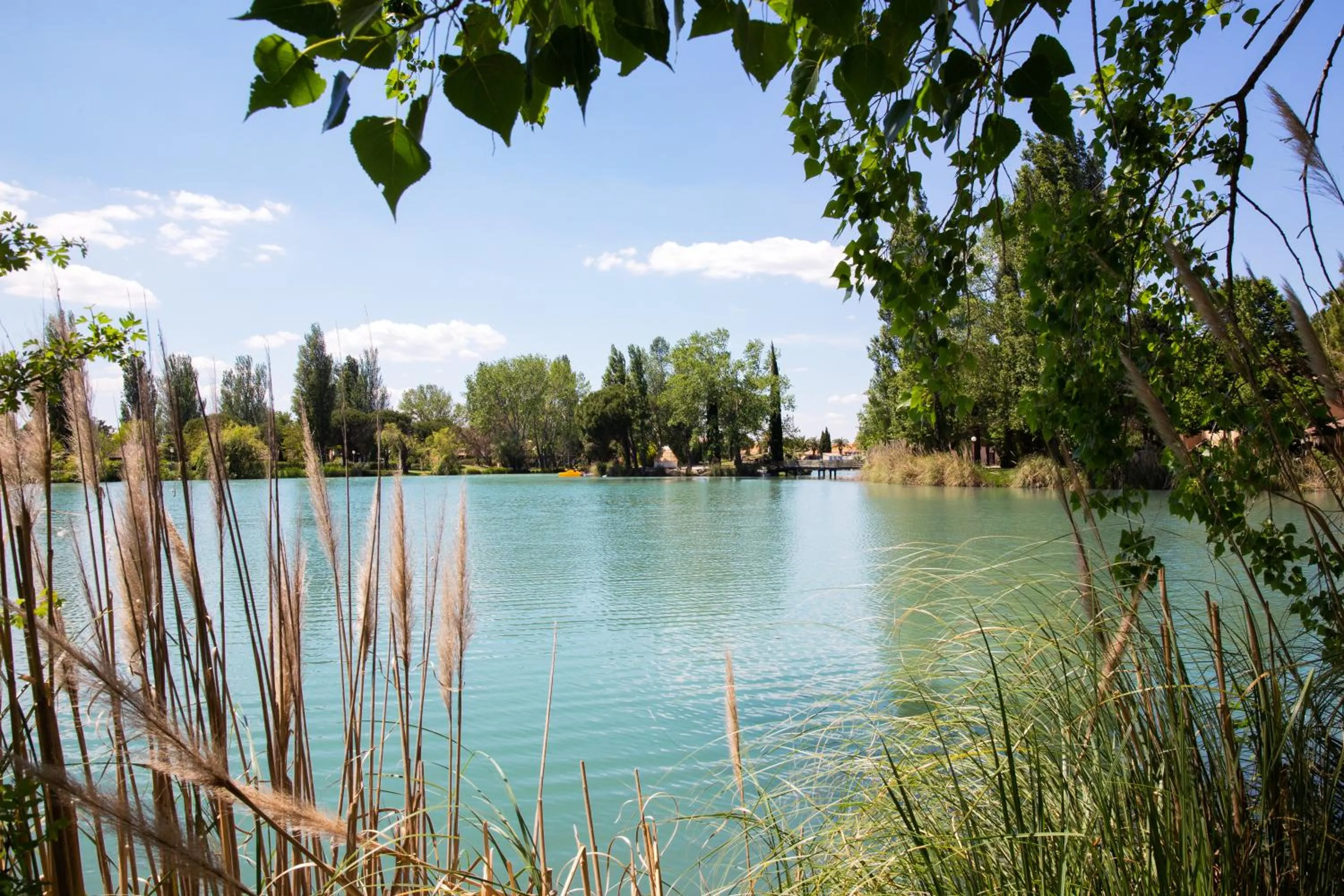 Natural landscape in SOWELL HOTELS L'Olivier