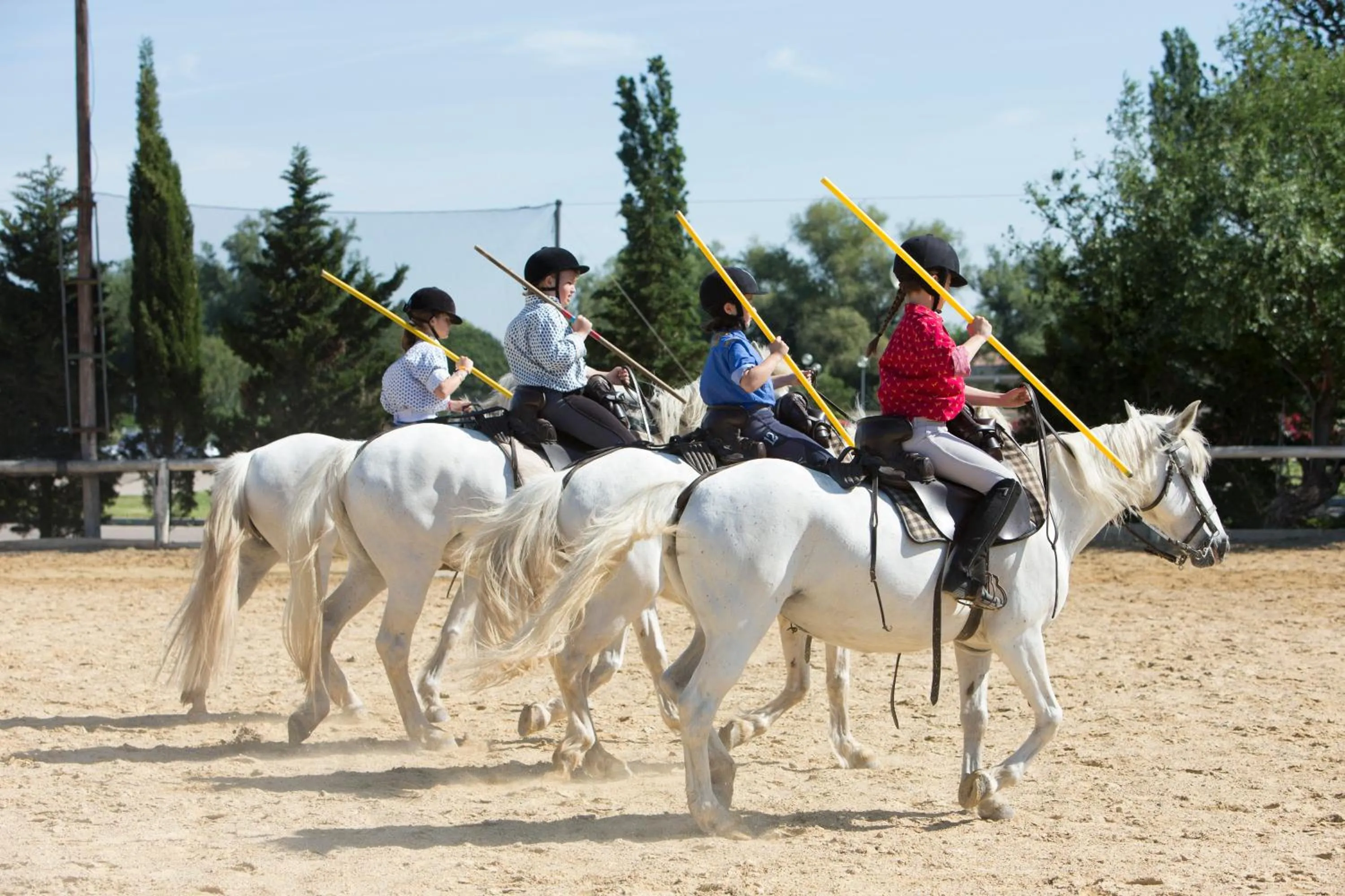 Horse-riding in SOWELL HOTELS L'Olivier