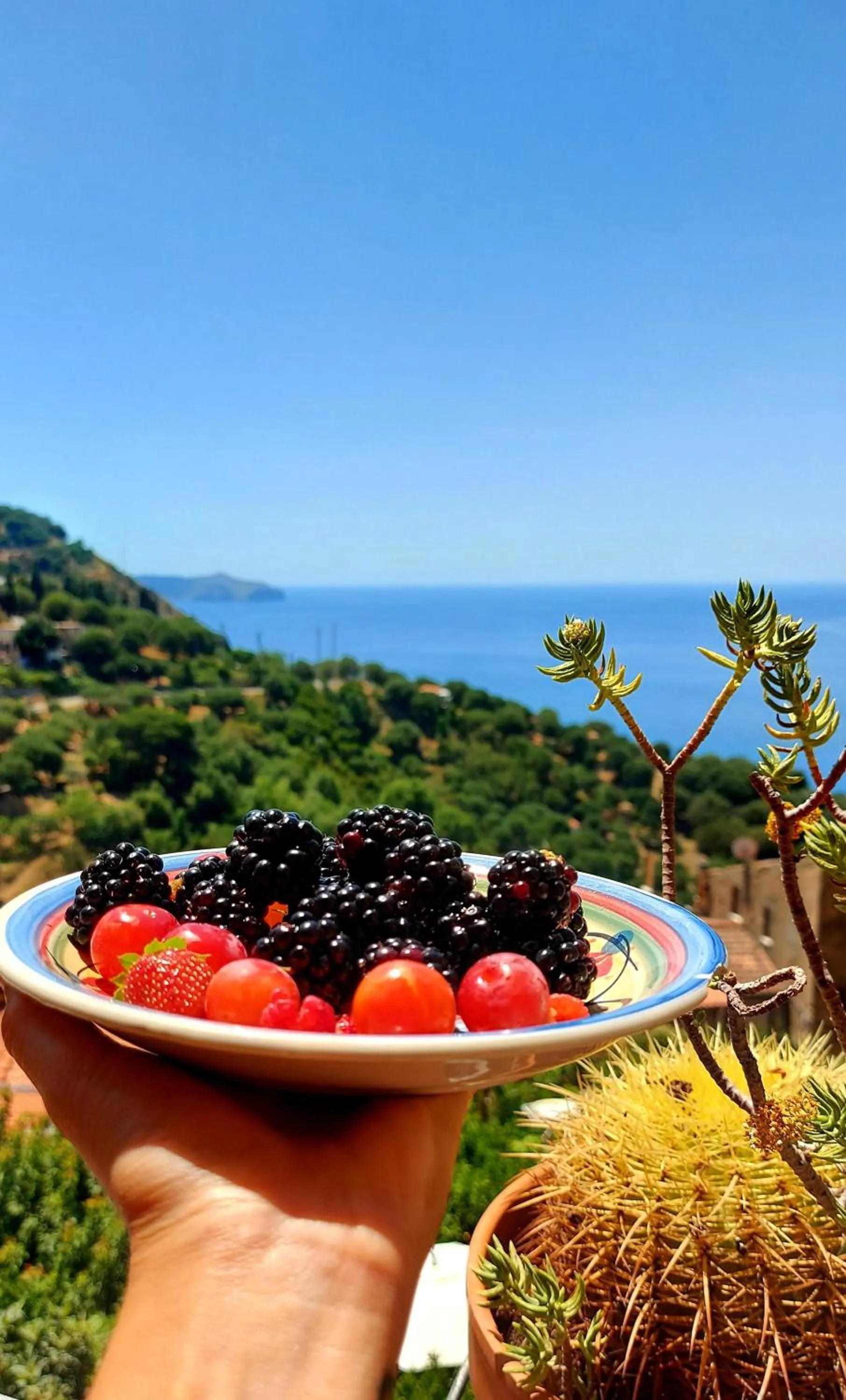 Food close-up in La Casa sul Blu Albergo Diffuso