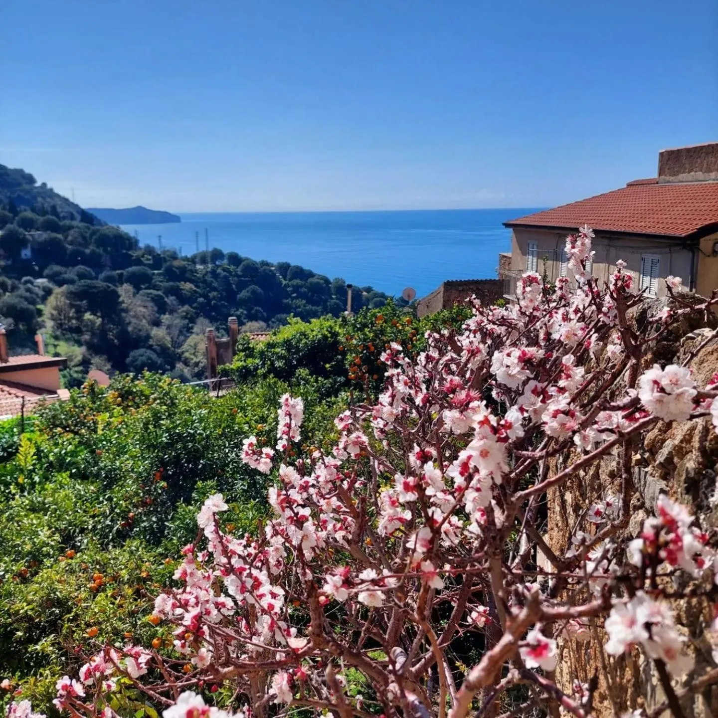 View (from property/room) in La Casa sul Blu Albergo Diffuso