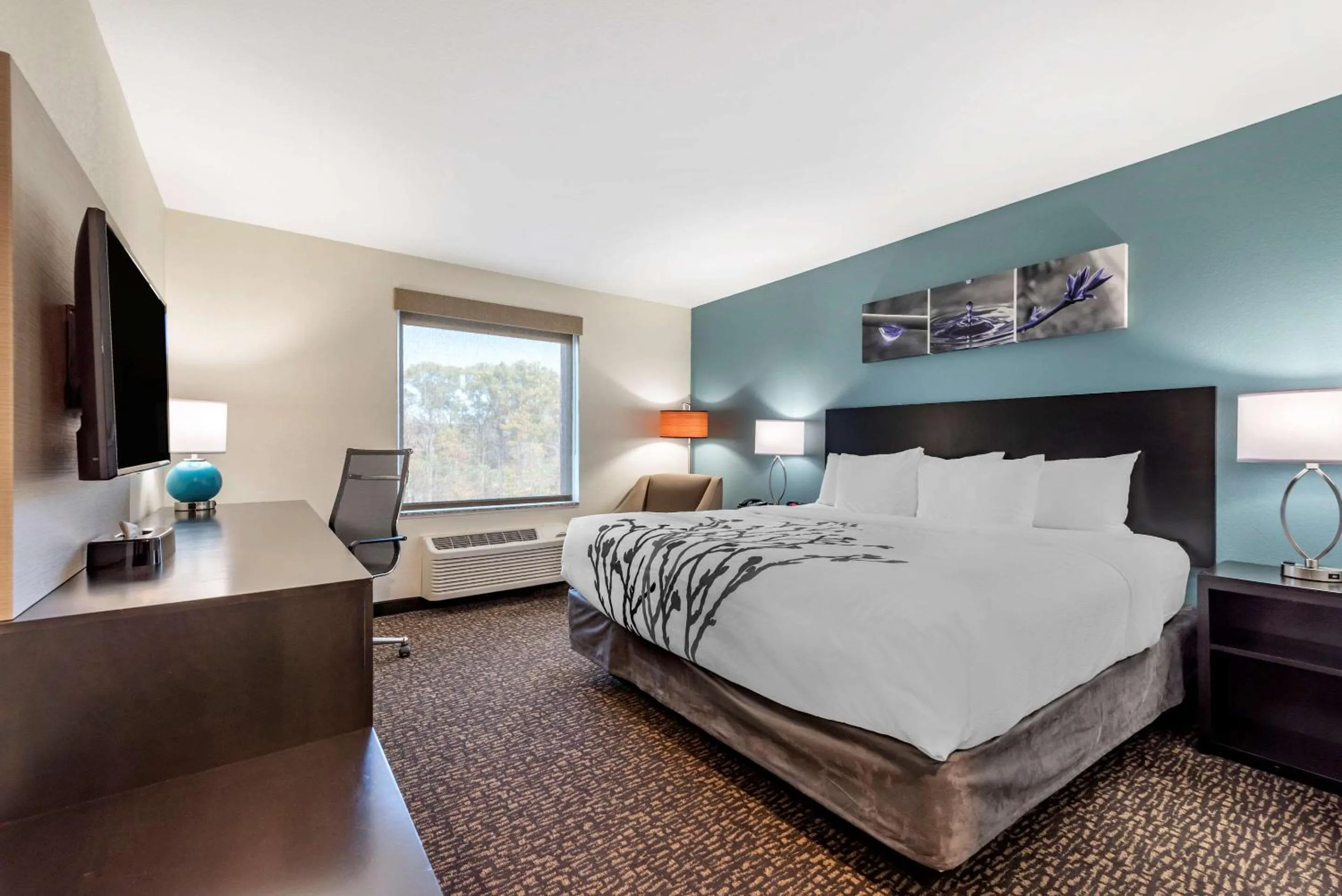 Photo of the whole room in Sleep Inn Newberry - Crane