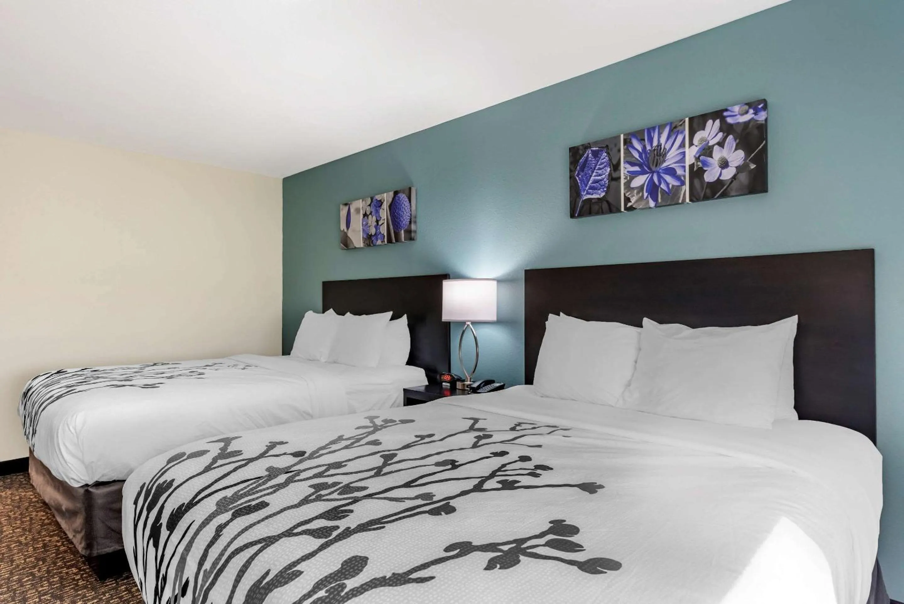 Photo of the whole room in Sleep Inn Newberry - Crane