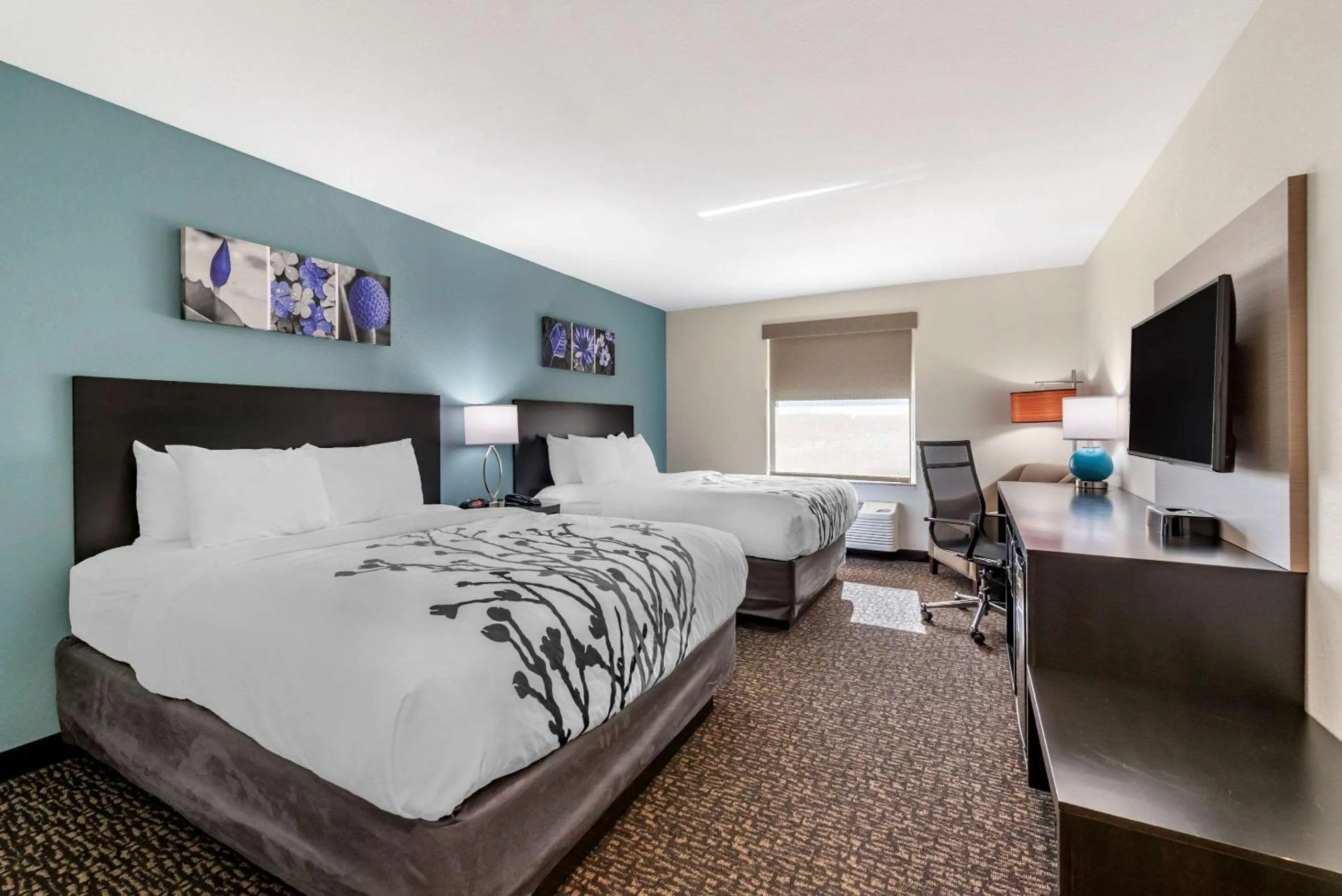 Photo of the whole room in Sleep Inn Newberry - Crane