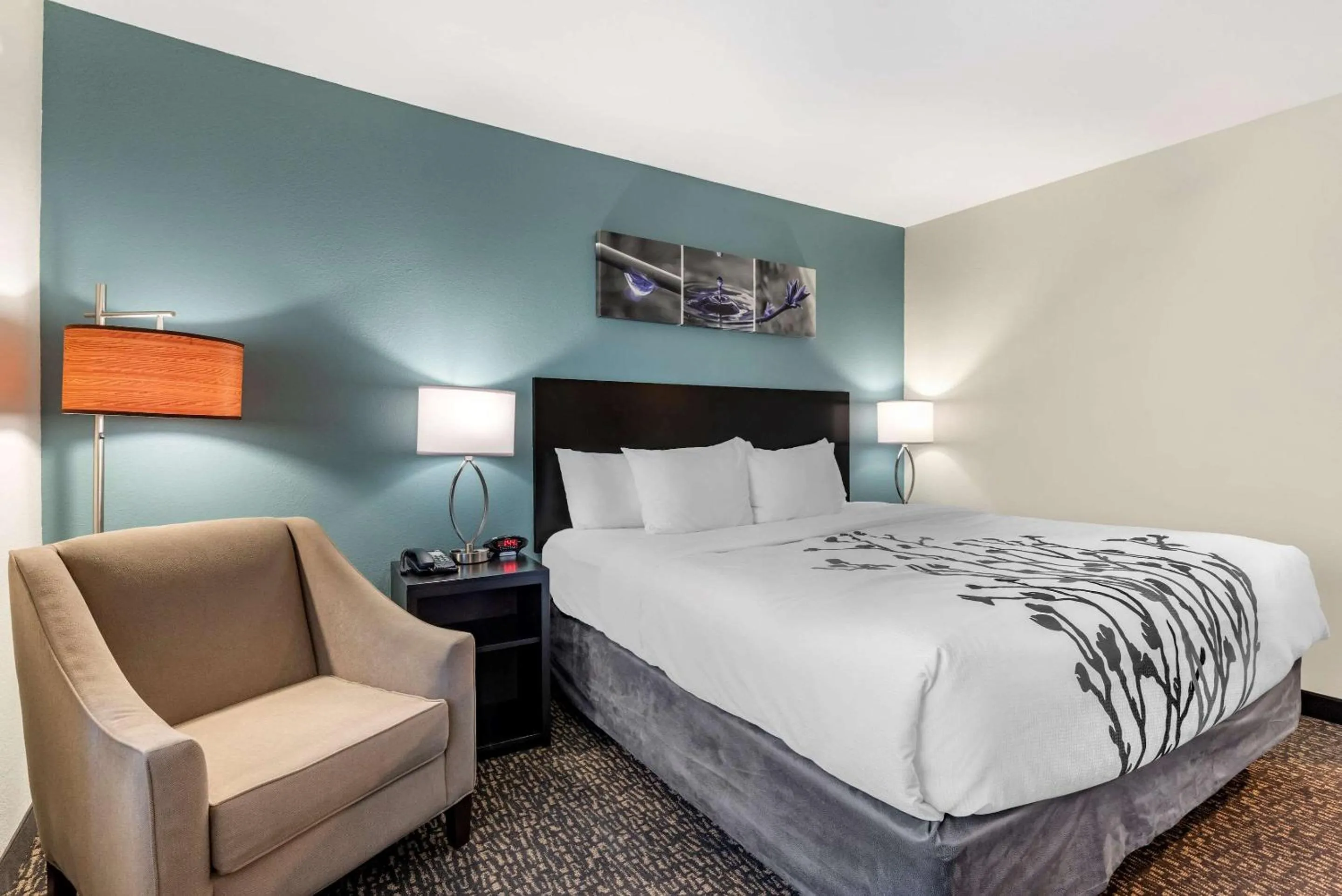 Photo of the whole room in Sleep Inn Newberry - Crane