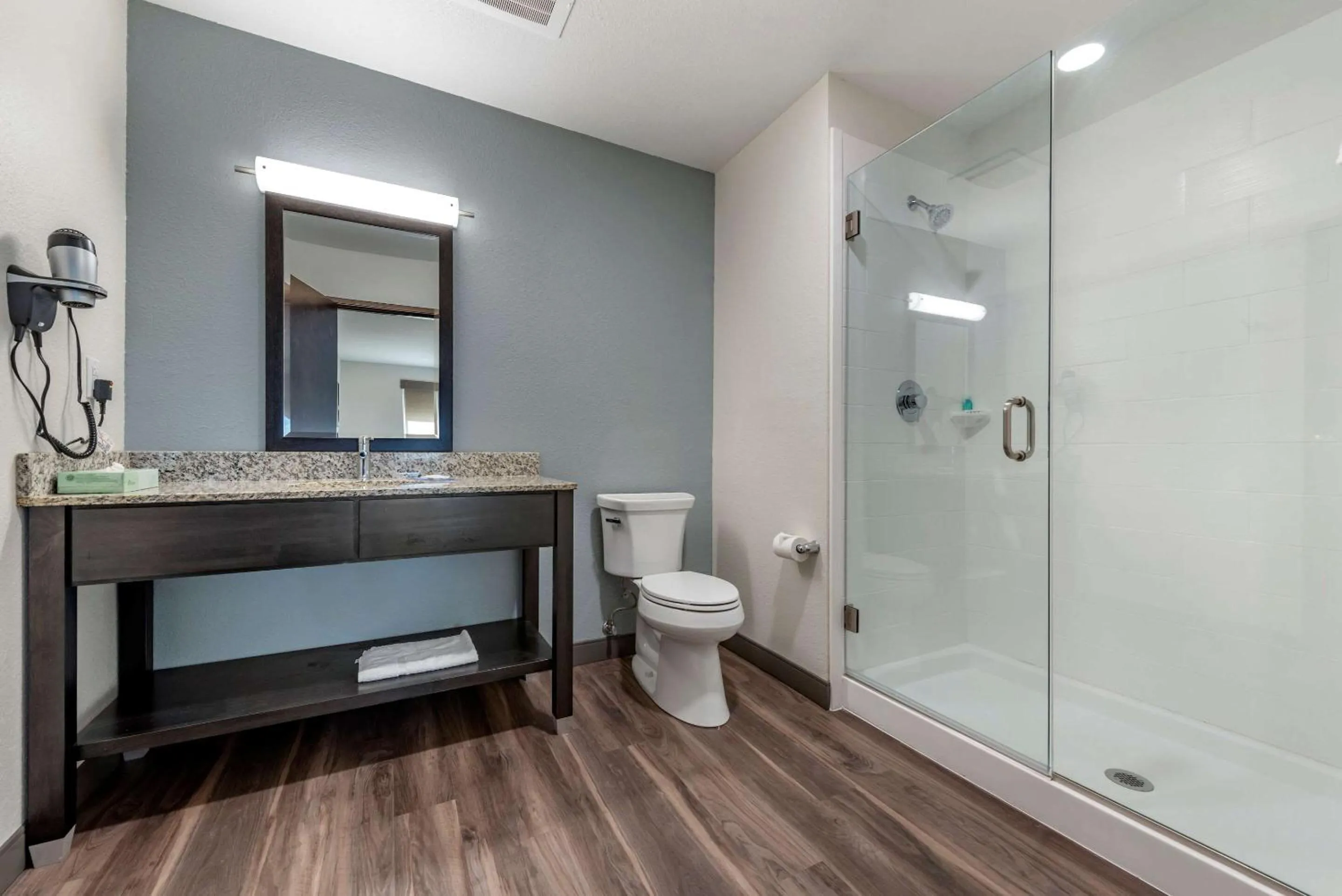 Photo of the whole room in MainStay Suites Newberry - Crane