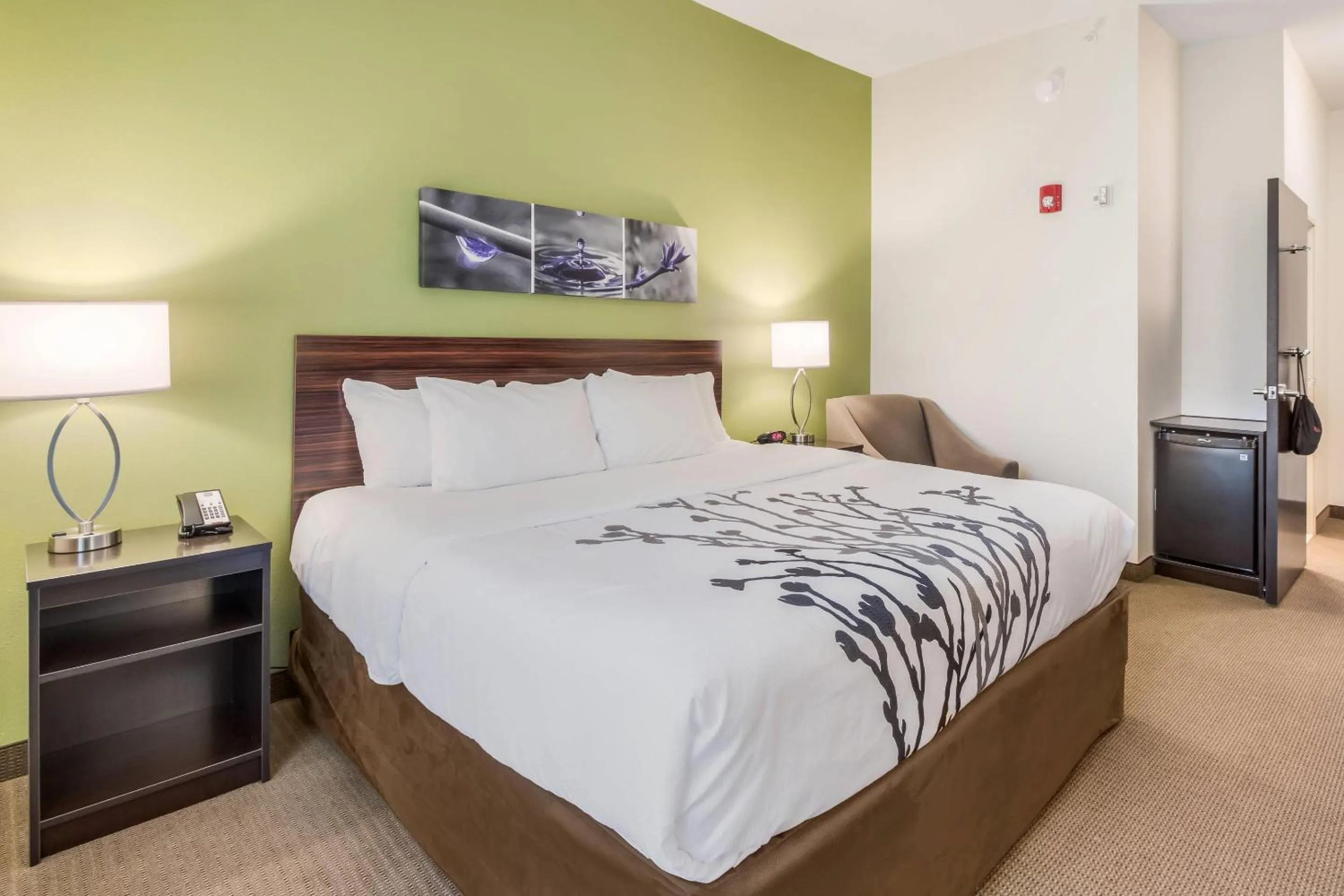 Bedroom, Bed in Sleep Inn at Discovery Park of America