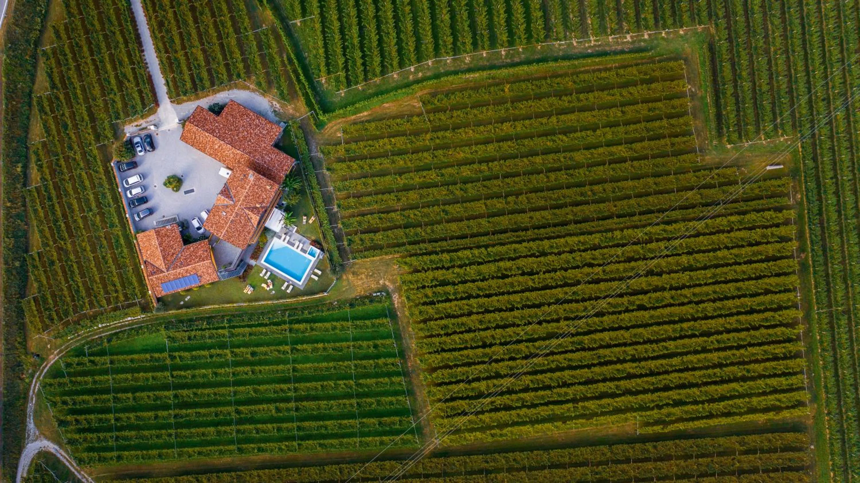 Bird's eye view in Maso Agritur Santa Lucia