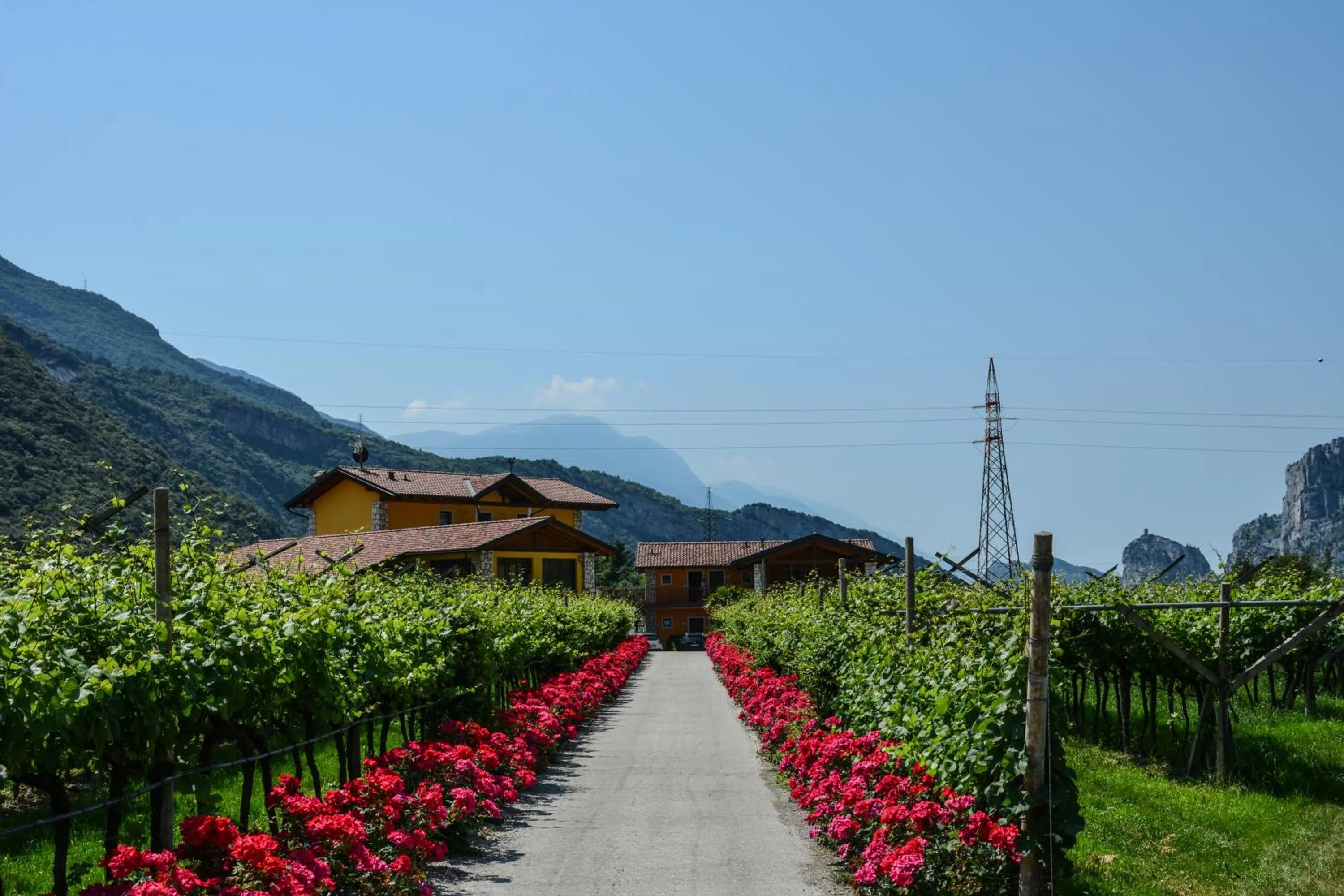 Bird's eye view in Maso Agritur Santa Lucia