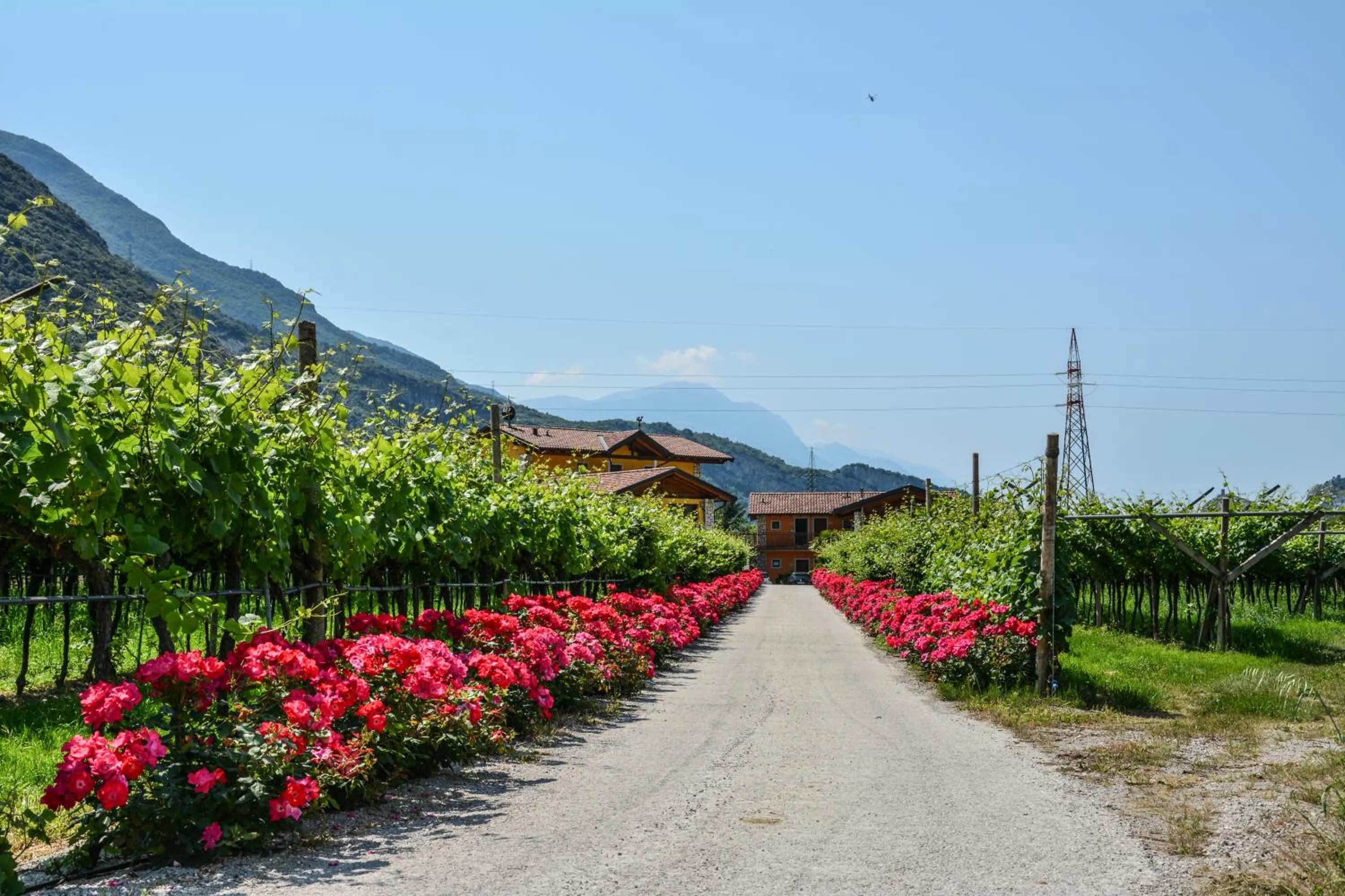 Other in Maso Agritur Santa Lucia