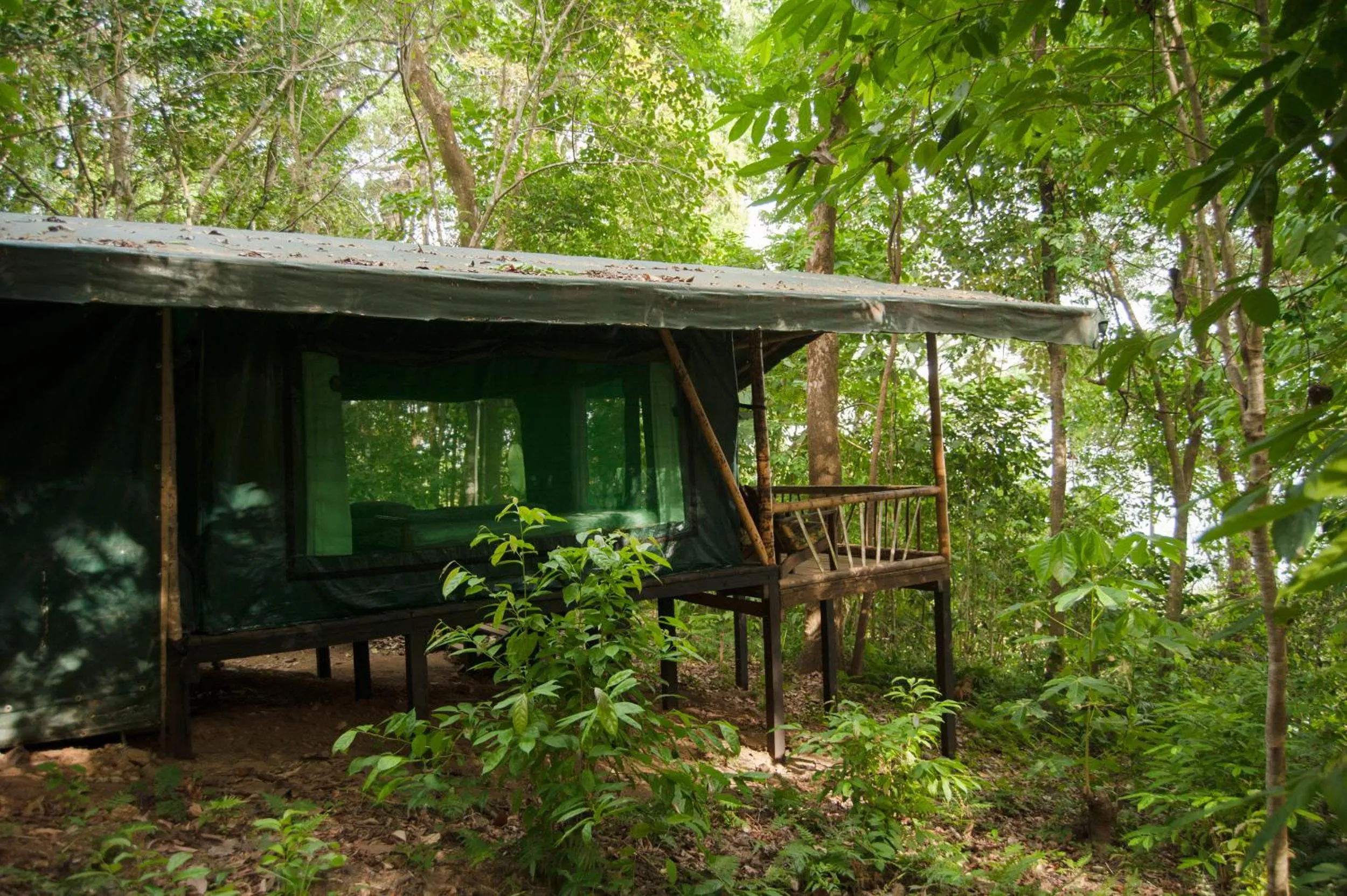 Mountain view in La Leona Eco Lodge