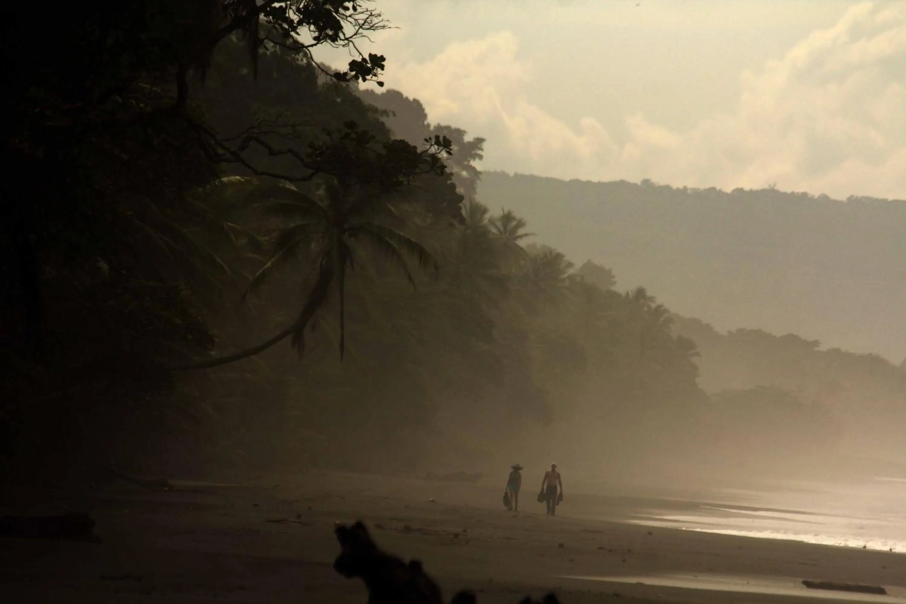 Beach in La Leona Eco Lodge