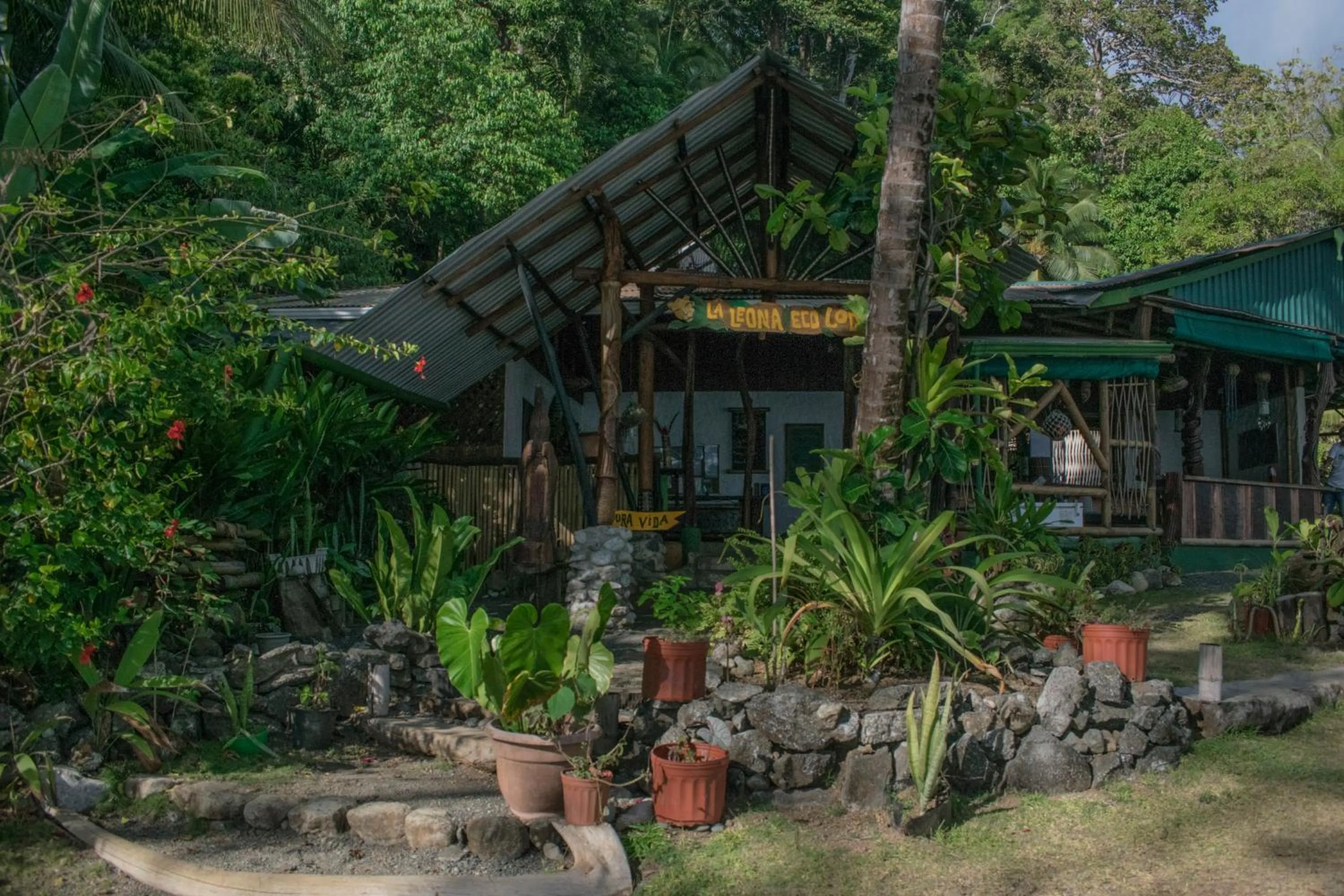 Property building in La Leona Eco Lodge