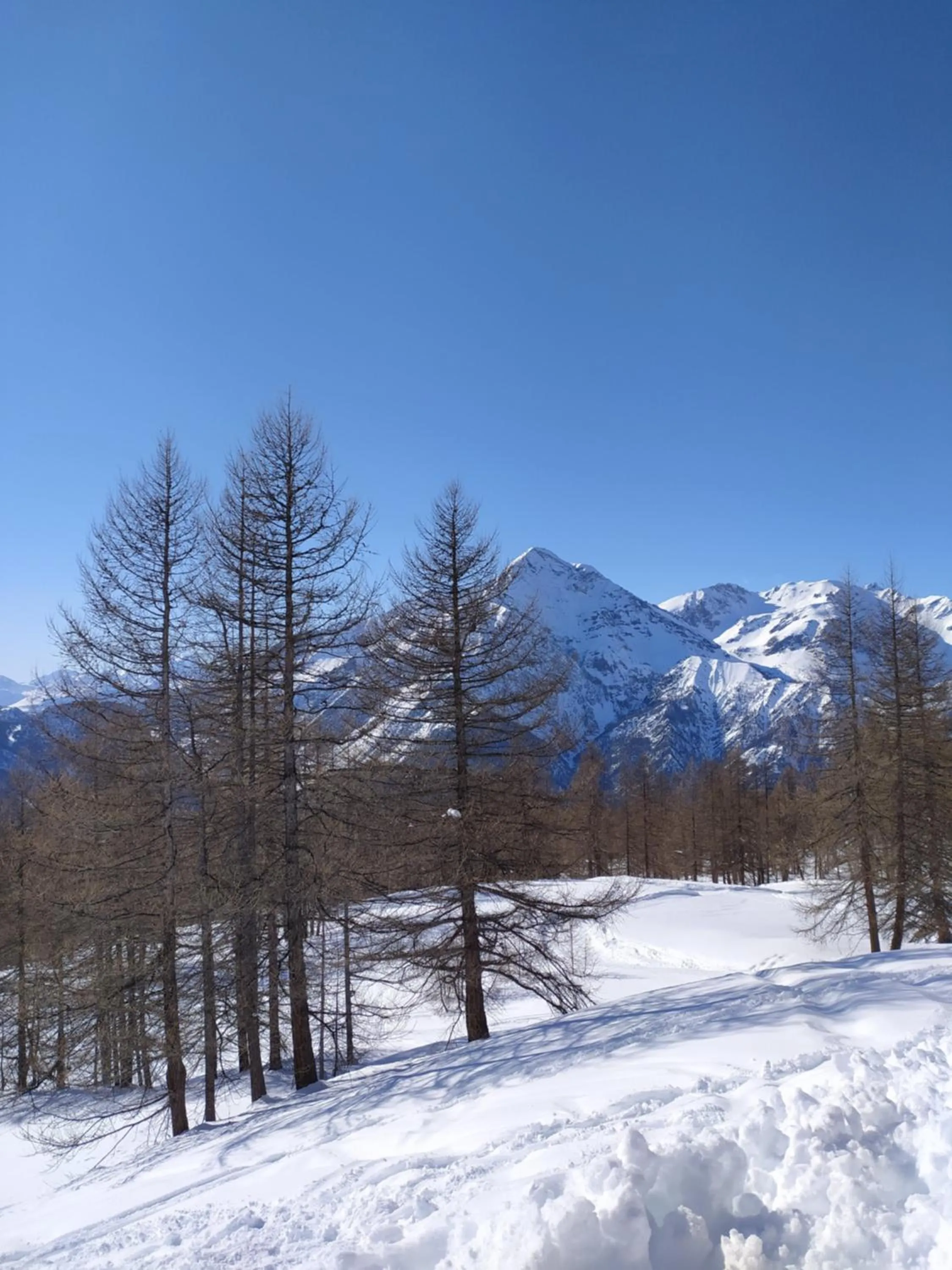 Natural landscape in Ca' Francesca - bilocale a Cesana Torinese