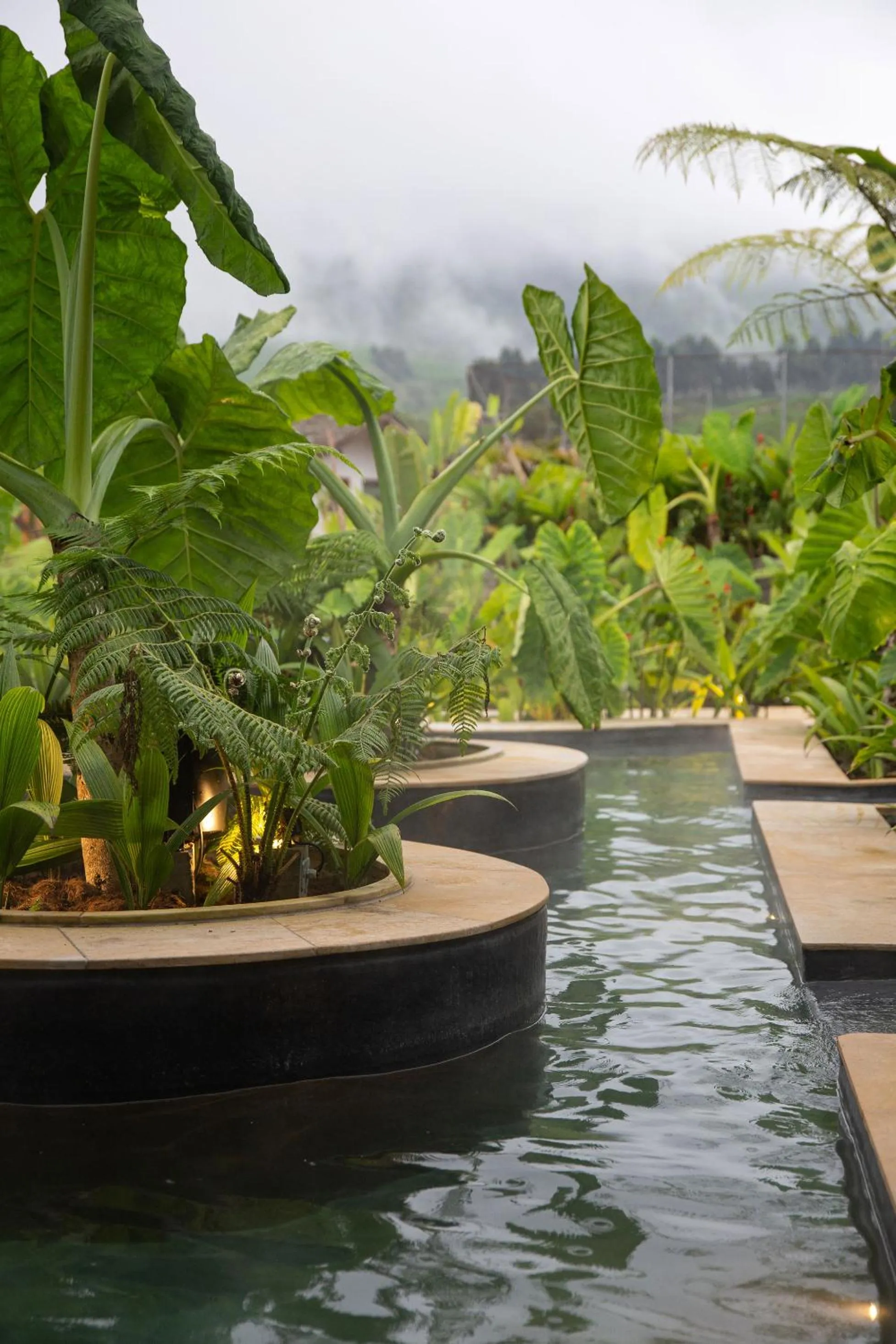 Garden in Termales El Otoño