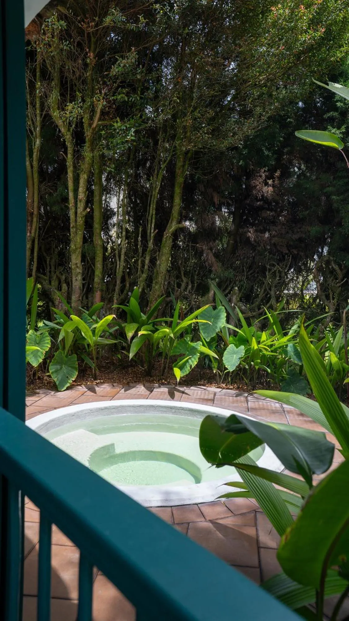 Garden in Termales El Otoño