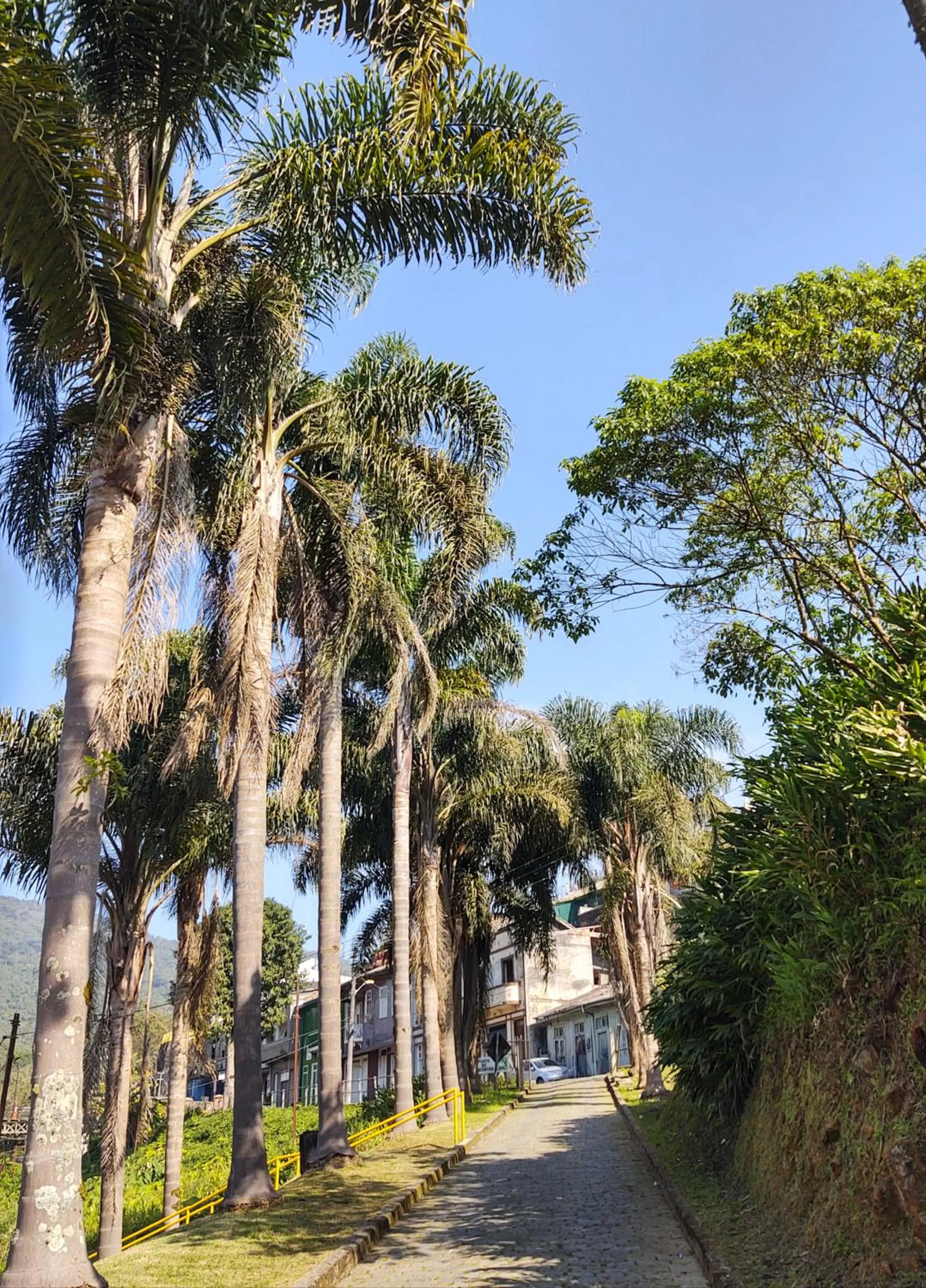 City view in Pousada Shamballah Paranapiacaba