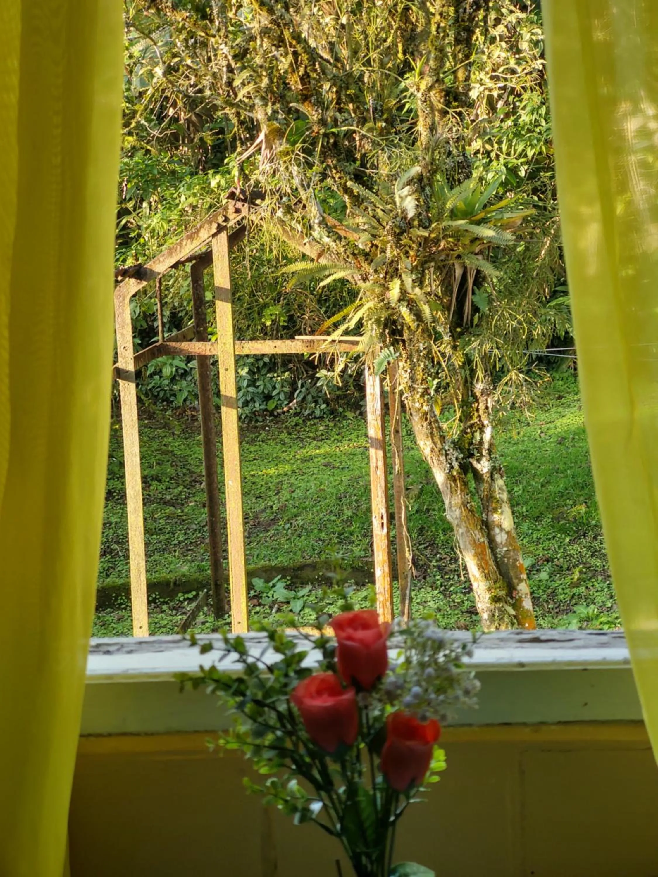 Garden view in Pousada Shamballah Paranapiacaba