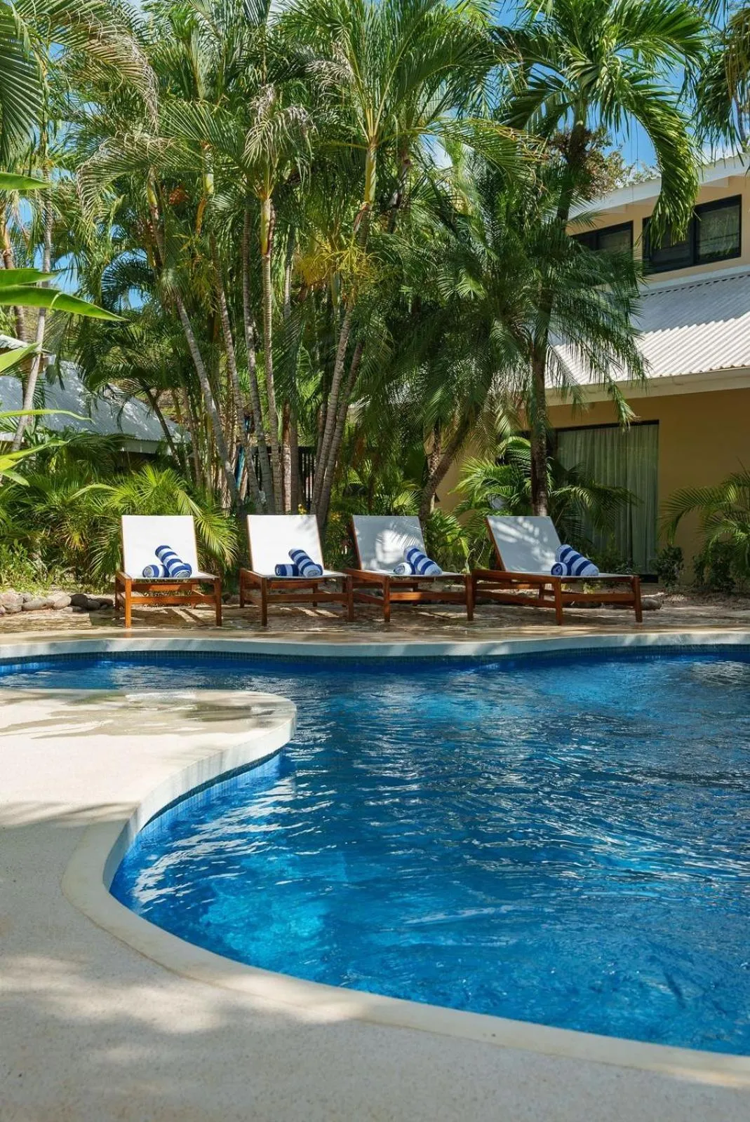 Swimming pool in Boutique Surf Hotel Rip Jack Inn