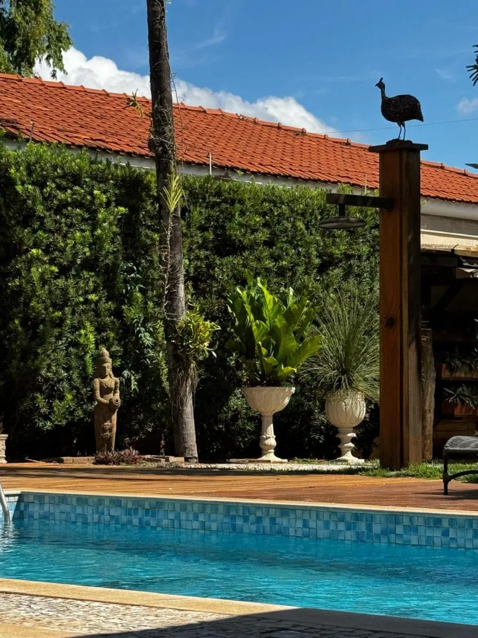 Swimming pool in Taj Hotel