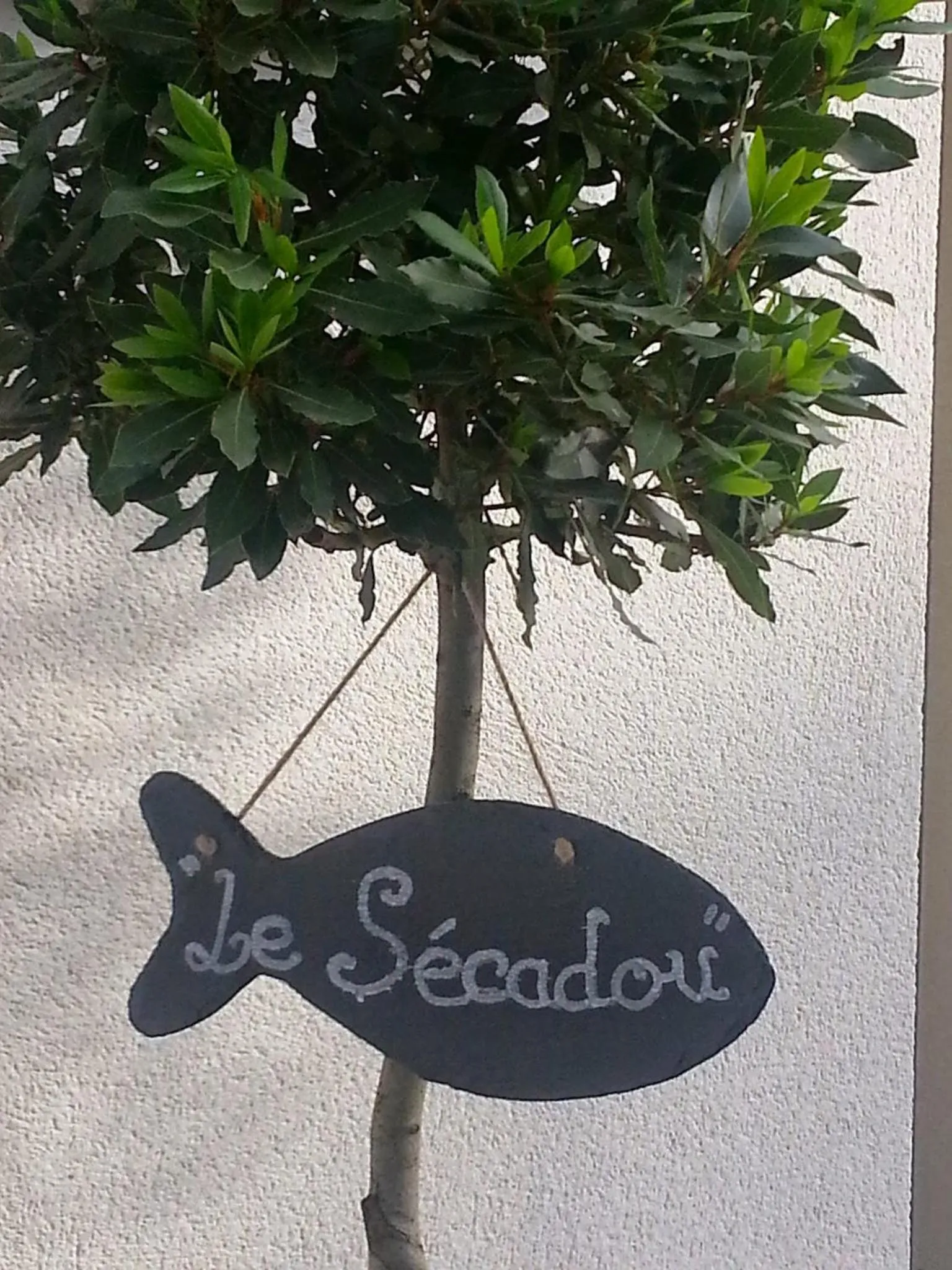 Facade/entrance in Chambre d'hôtes LE SECADOU