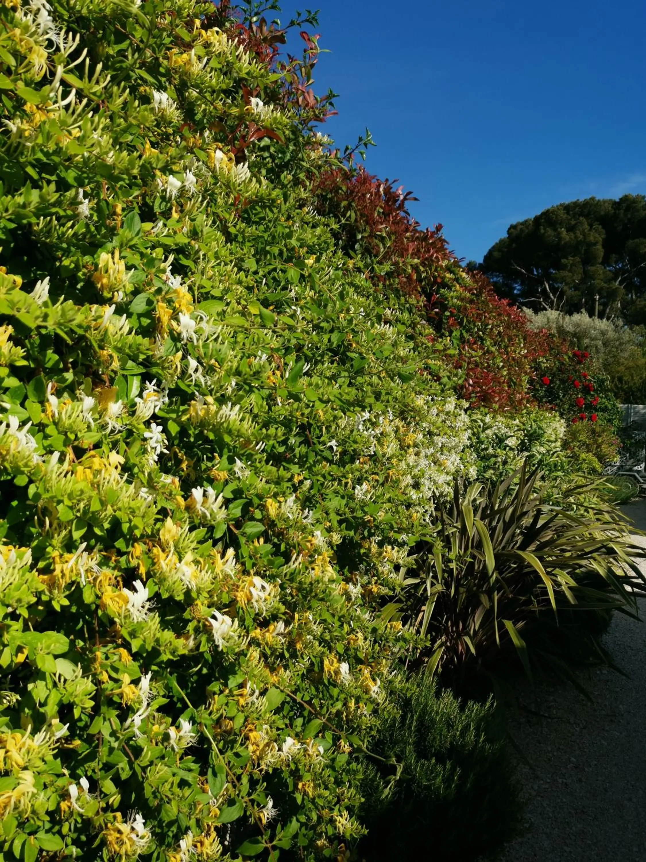 Garden view in Chambre d'hôtes LE SECADOU