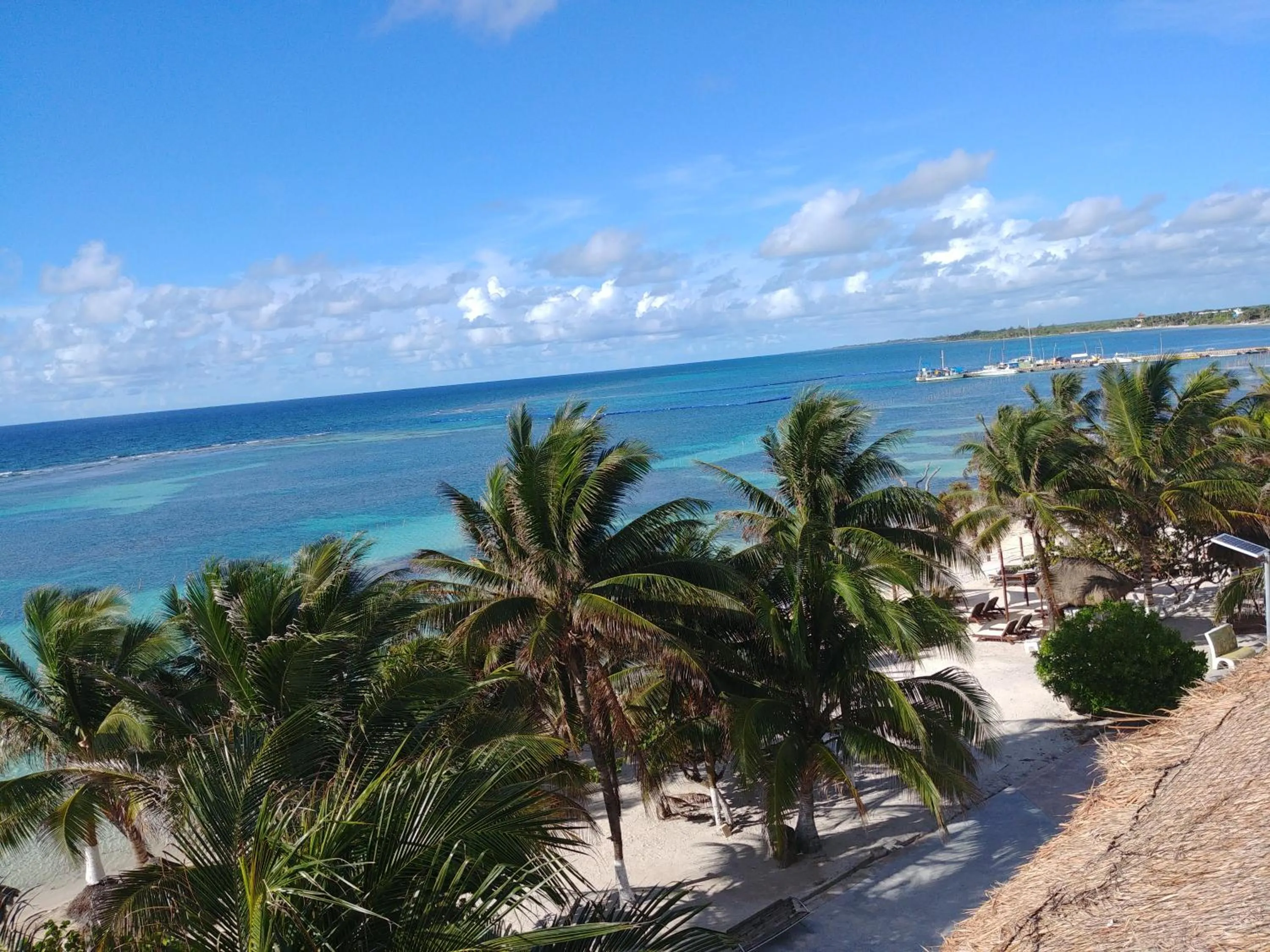 Natural landscape in El Fuerte Beach Apartments