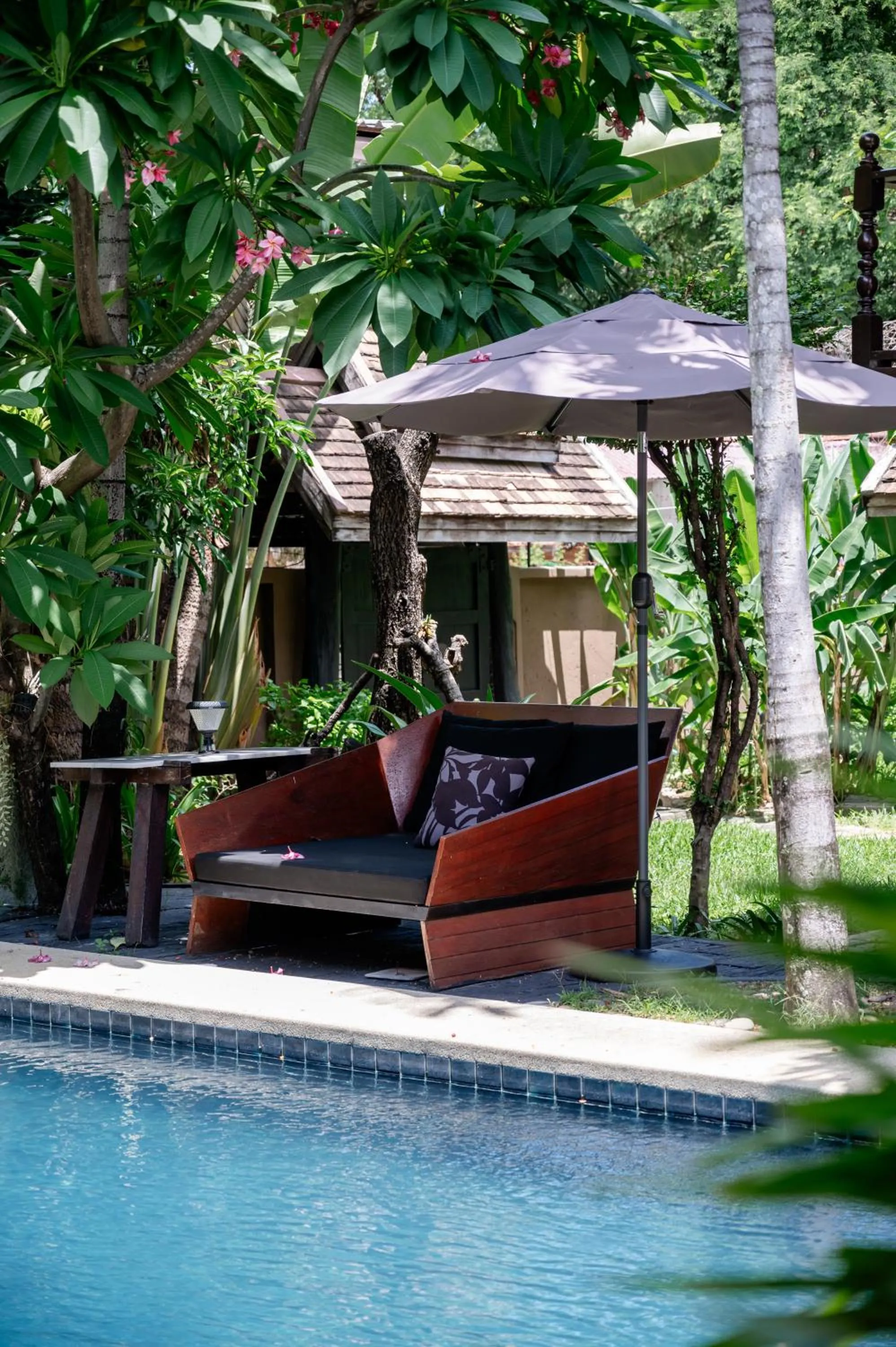 Natural landscape in Tolani Northgate Villa Chiang Mai