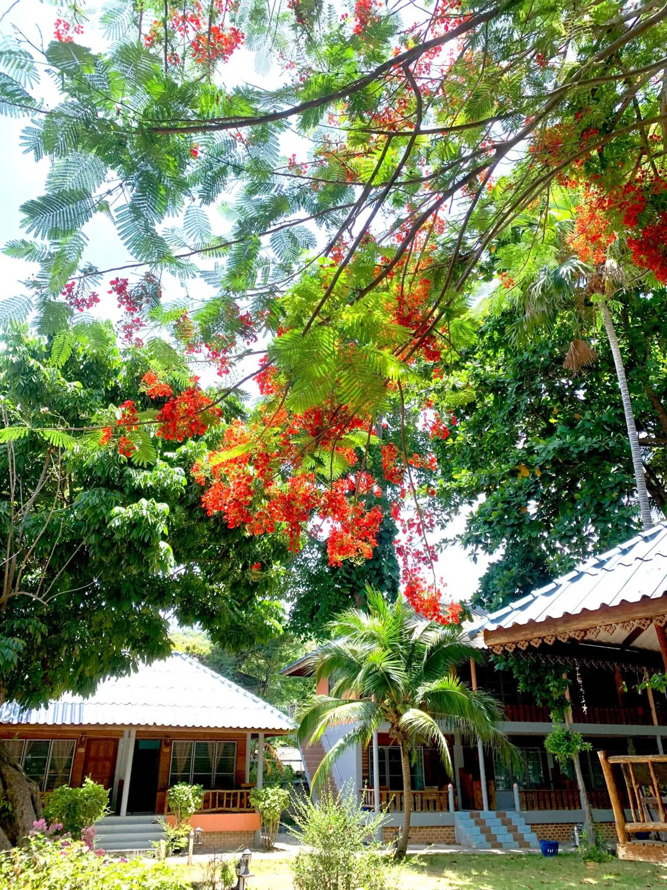 Koh Tao Tropicana Resort