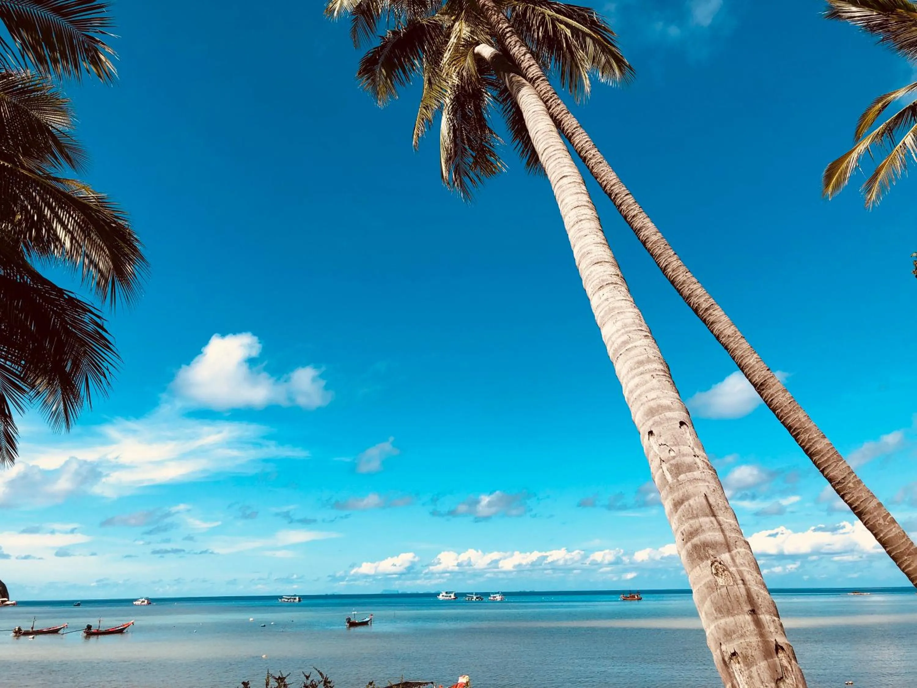 Beach in Koh Tao Tropicana Resort