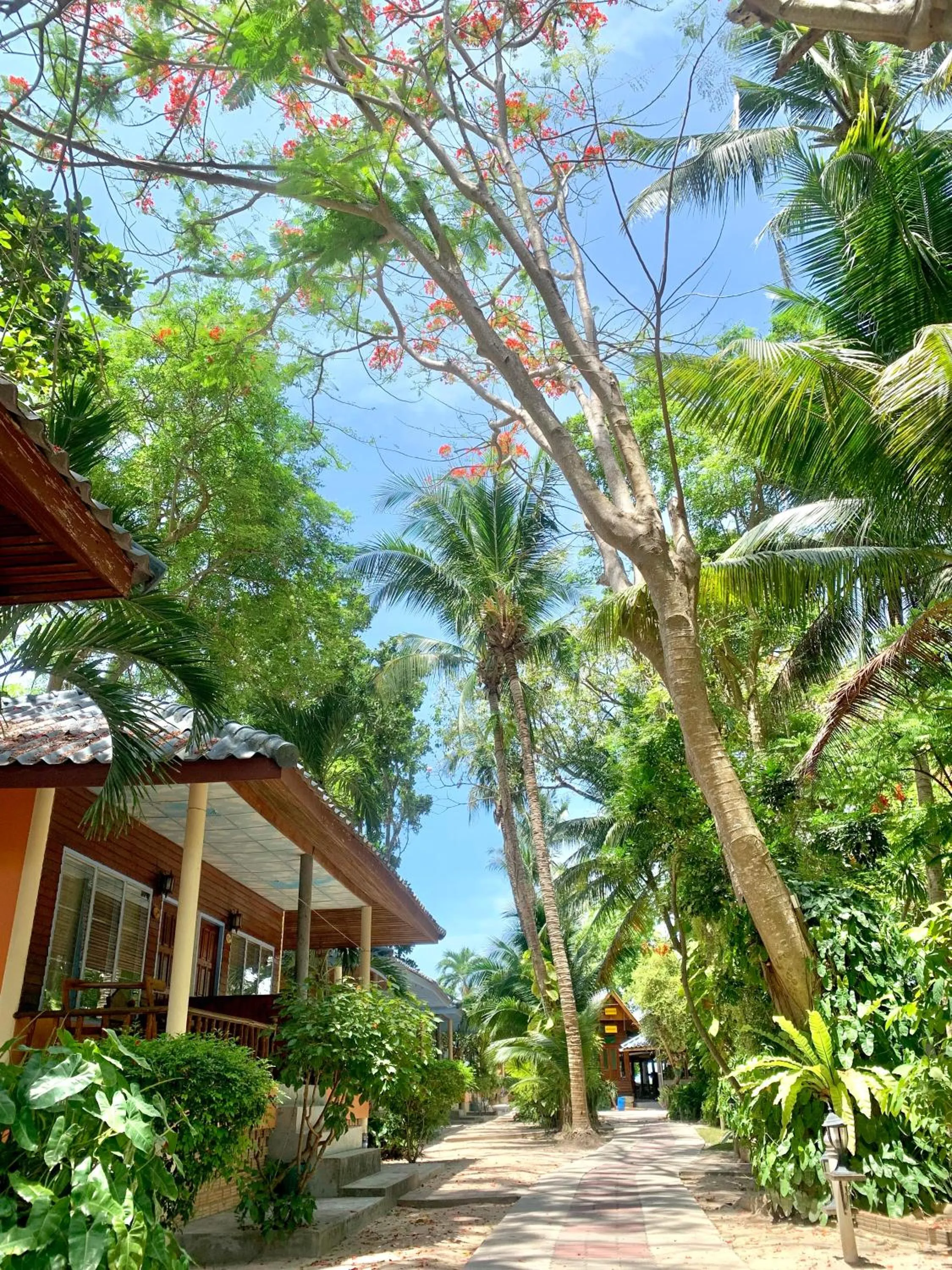 Koh Tao Tropicana Resort