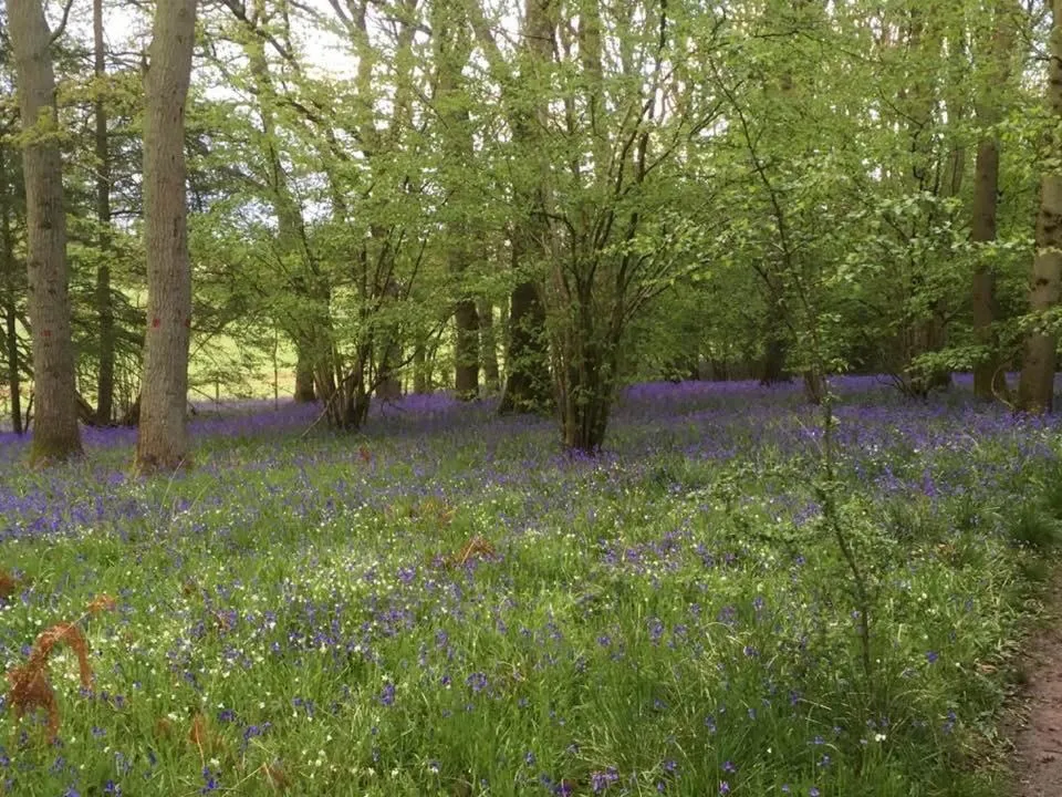 Spring in The Grange Silverstone