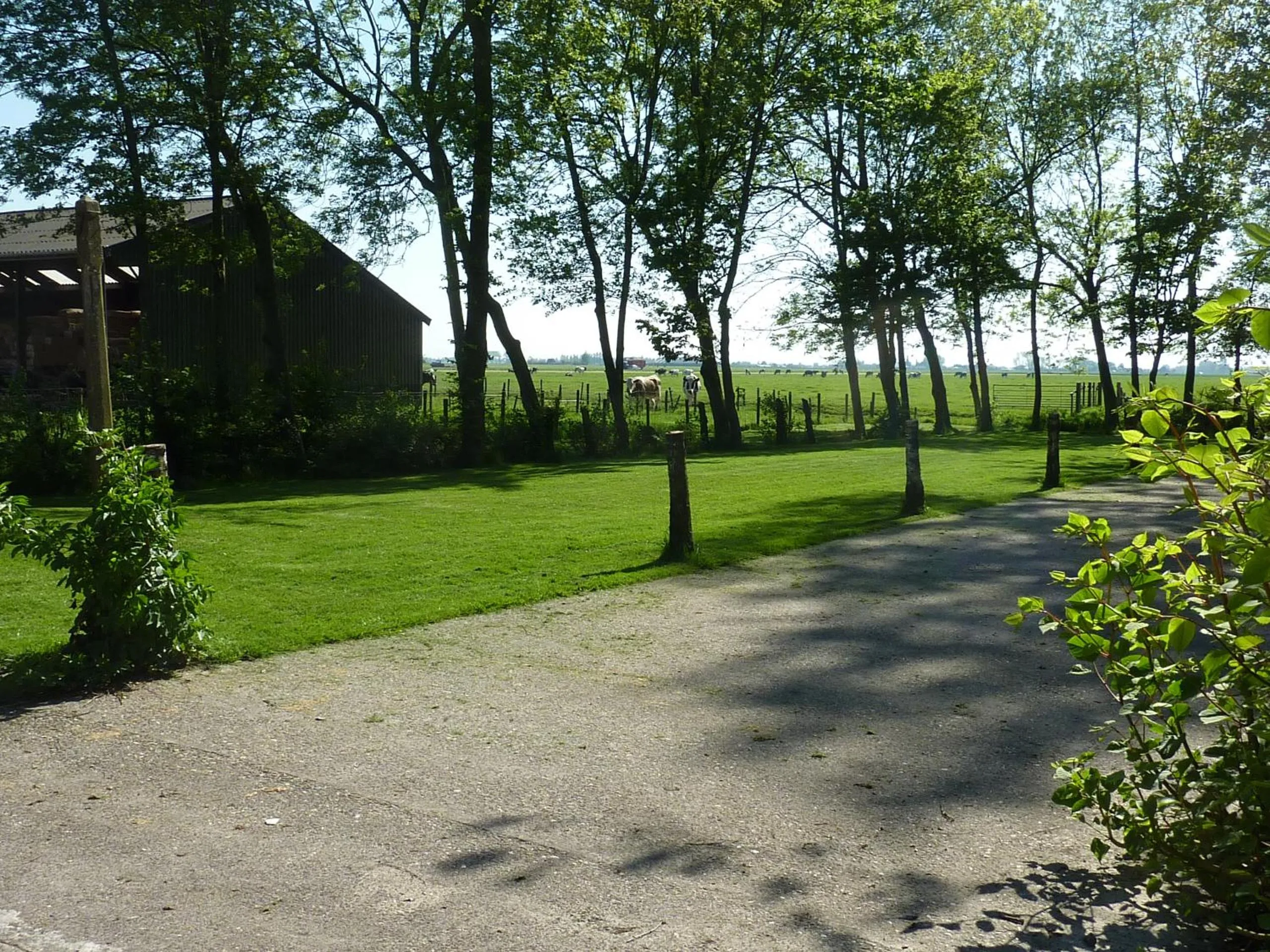 Garden view in Bed & Breakfast De Koegang