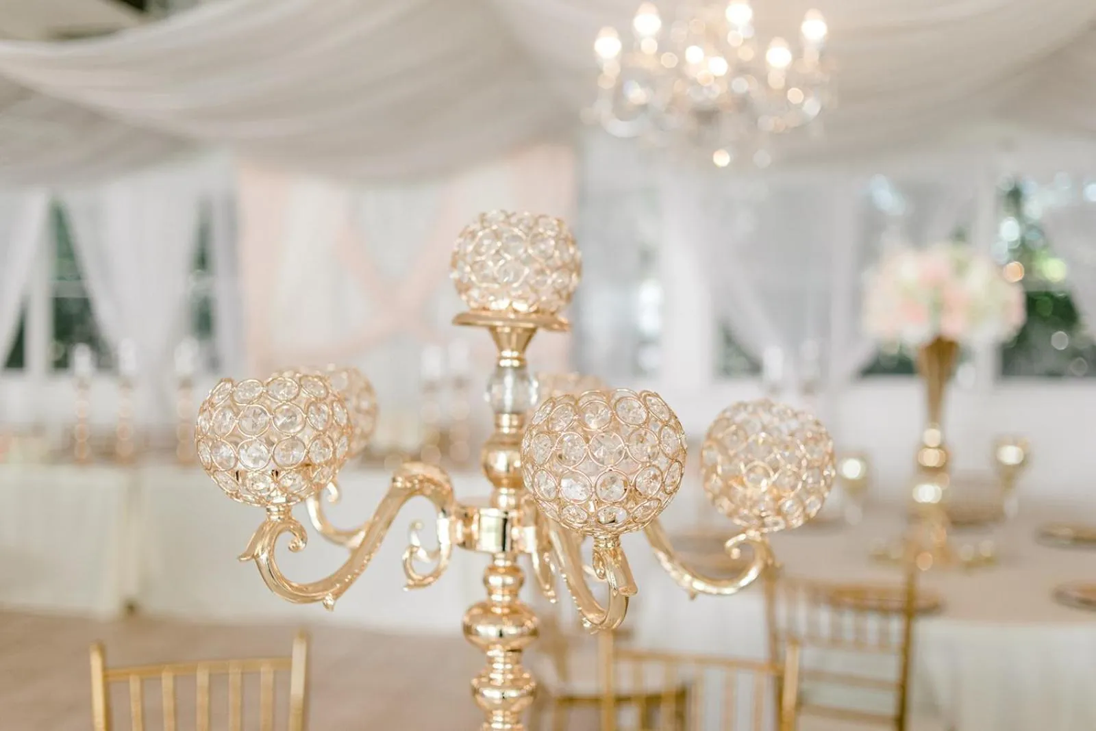 Breakfast in Georgia Palms & Gardens