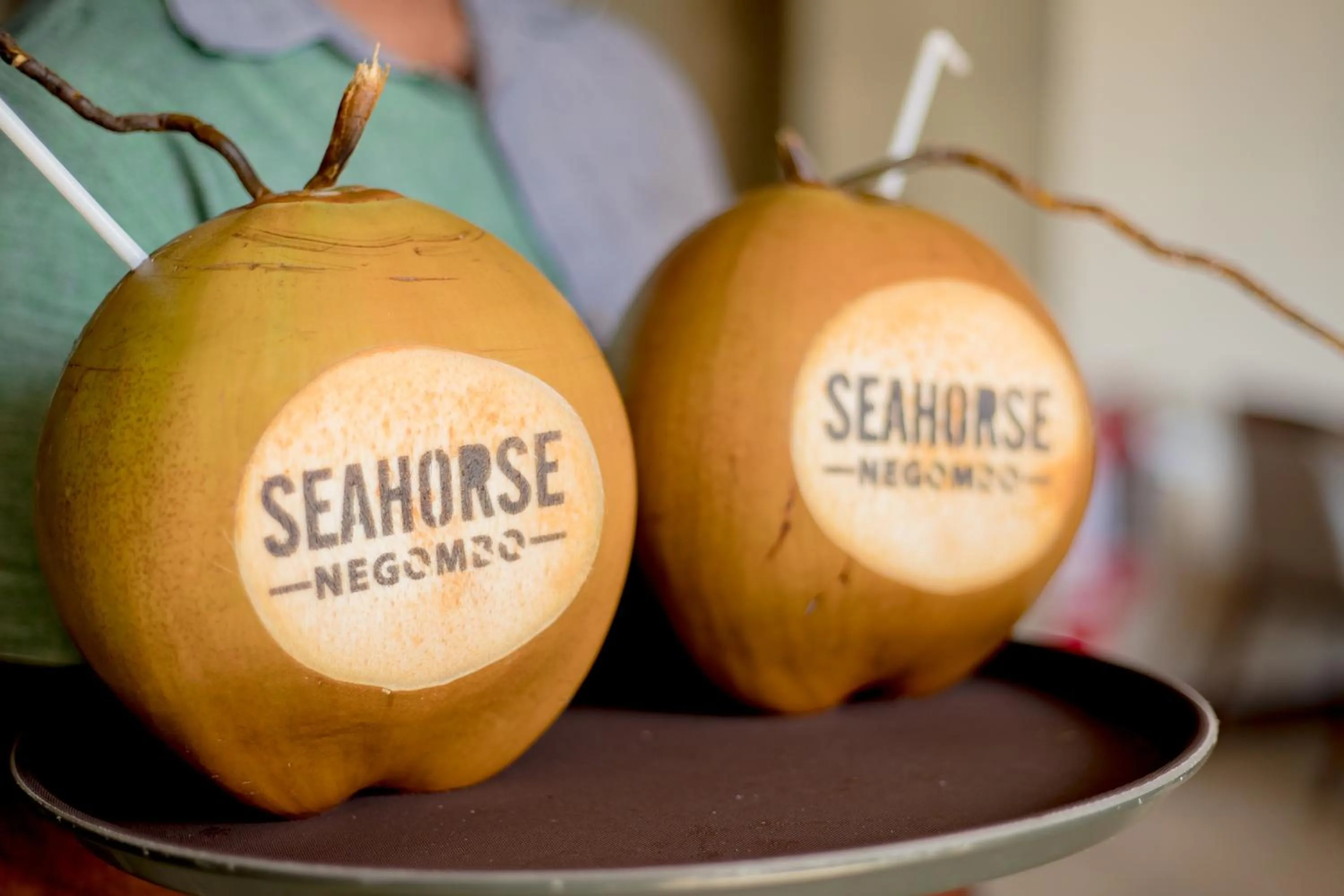 Property logo or sign in Seahorse Hotel & Spa