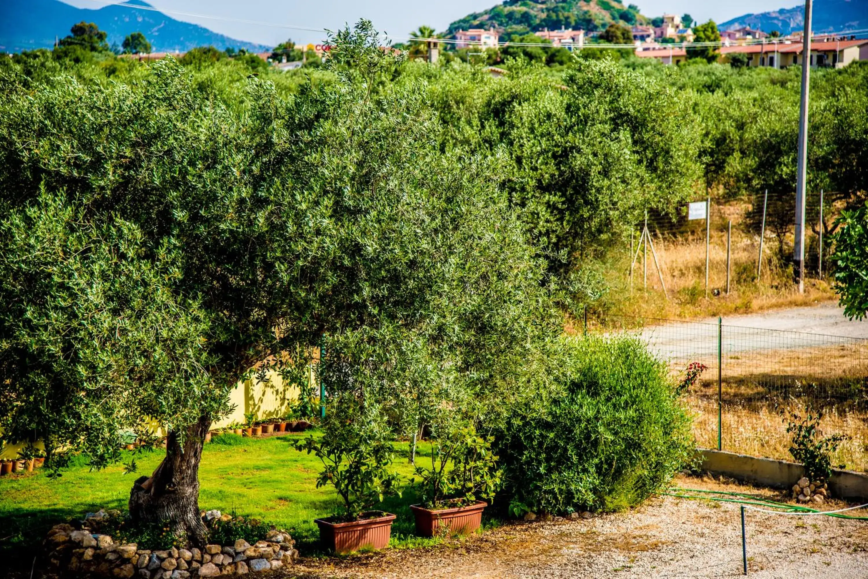 Double or Twin Room - single occupancy in Sorecanu Double or Twin Room - single occupancy in Sorecanu