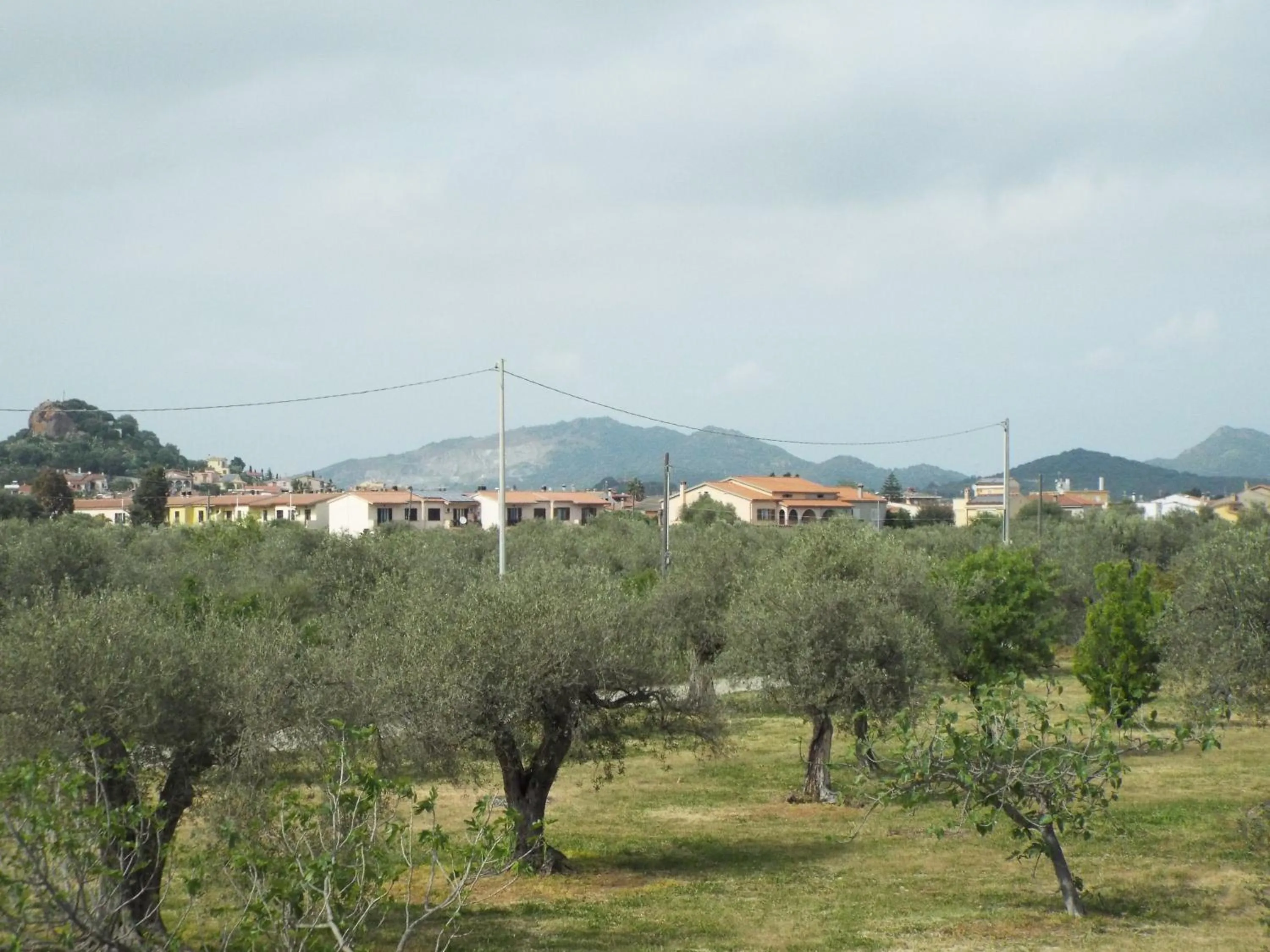 View (from property/room) in Sorecanu