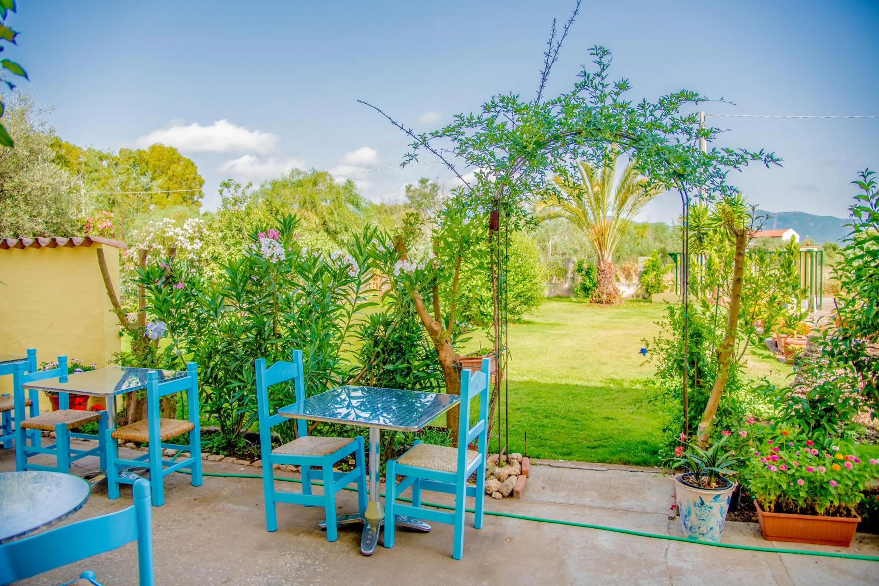 Garden view in Sorecanu