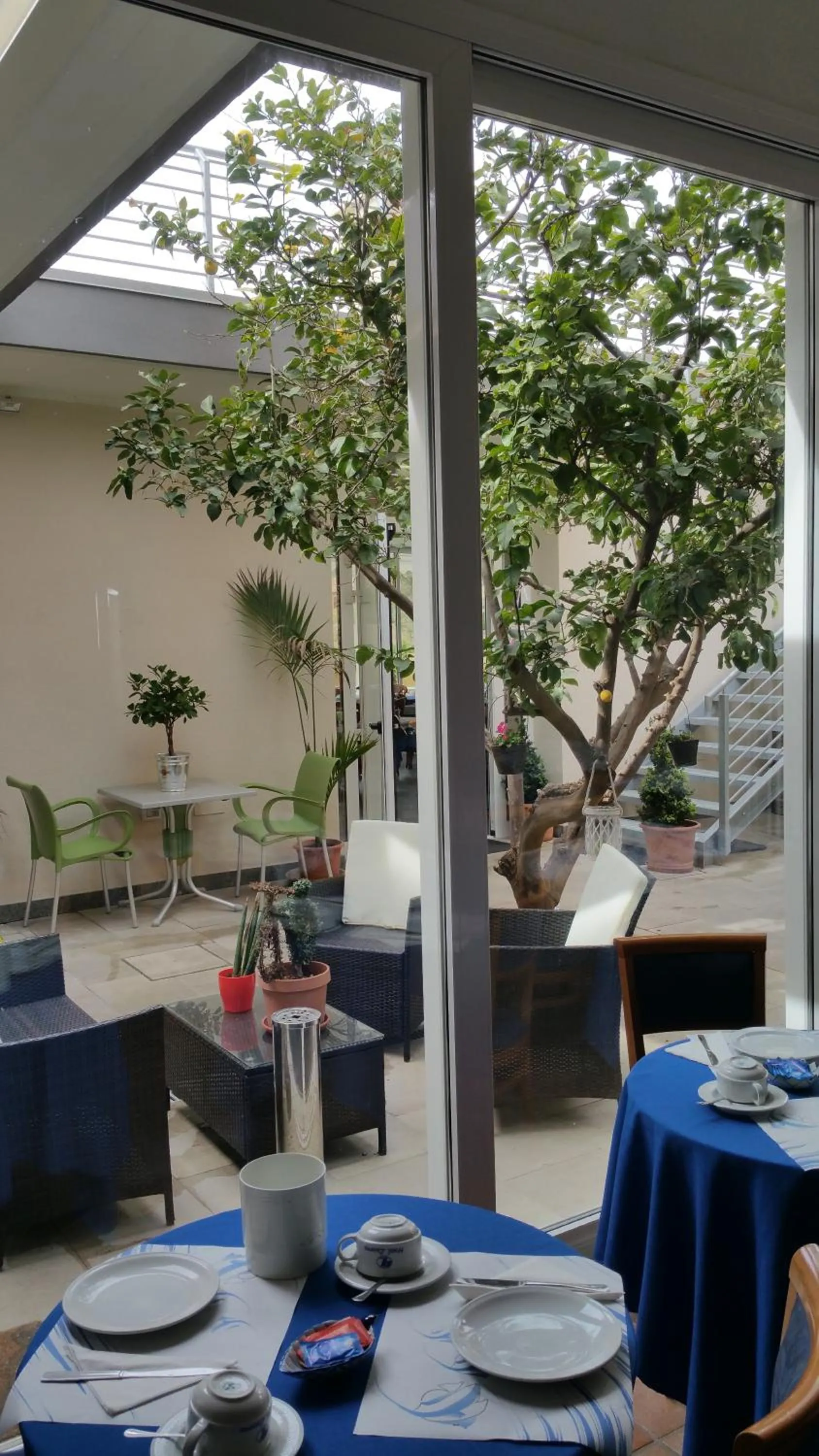 Garden in Hotel Lucerna