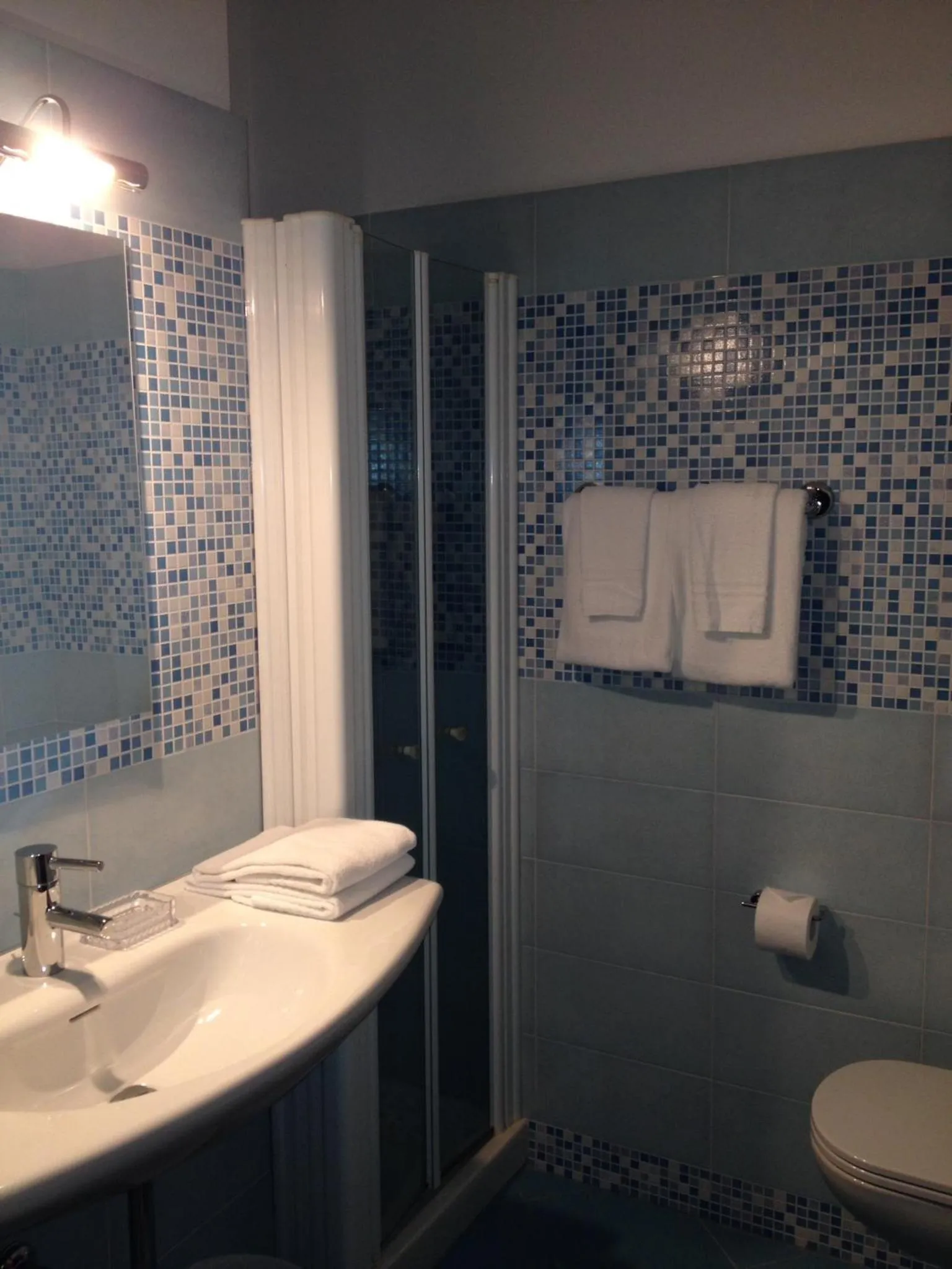 Toilet in Hotel Lucerna