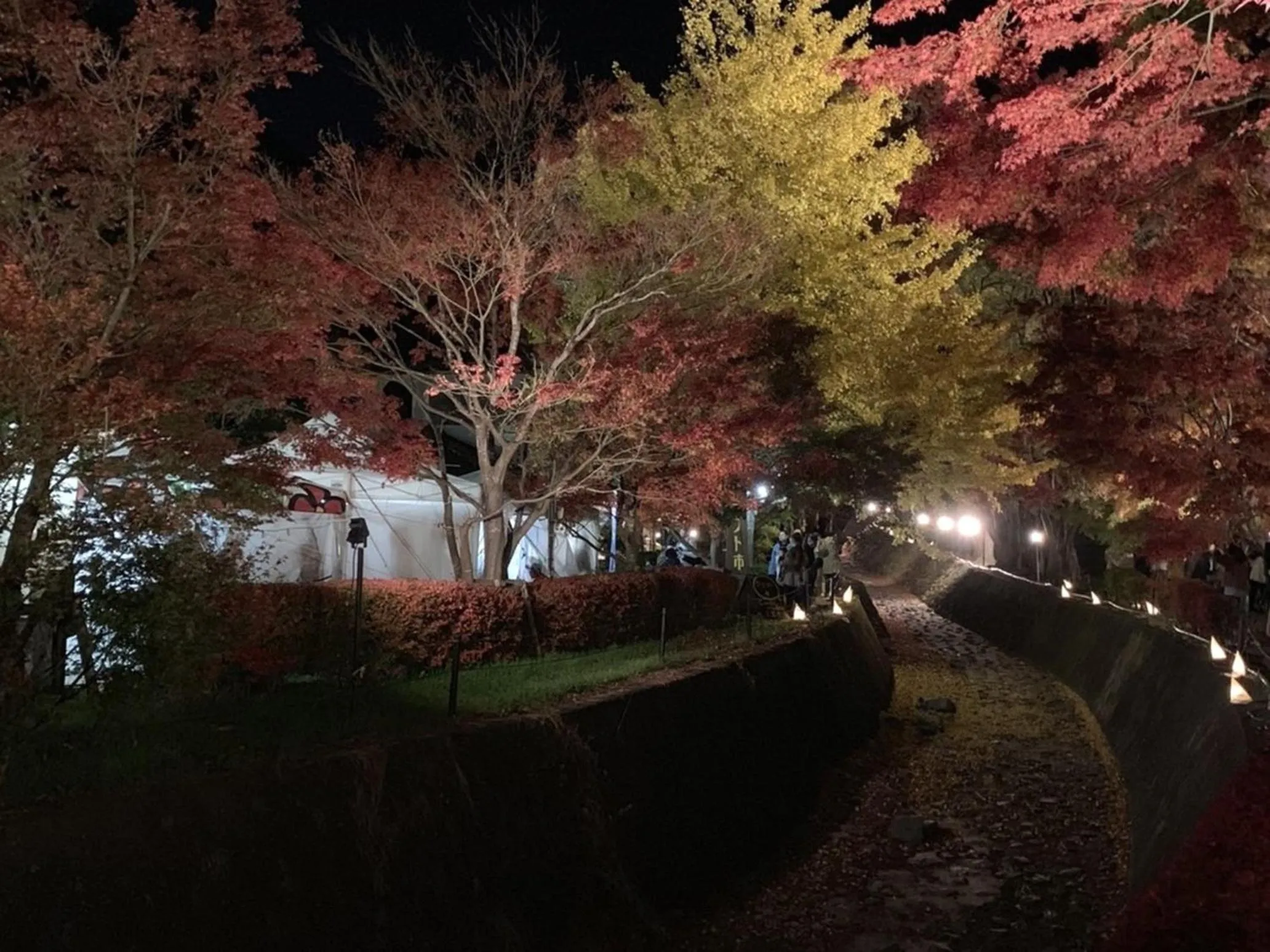 Natural landscape in Hotel Koryu