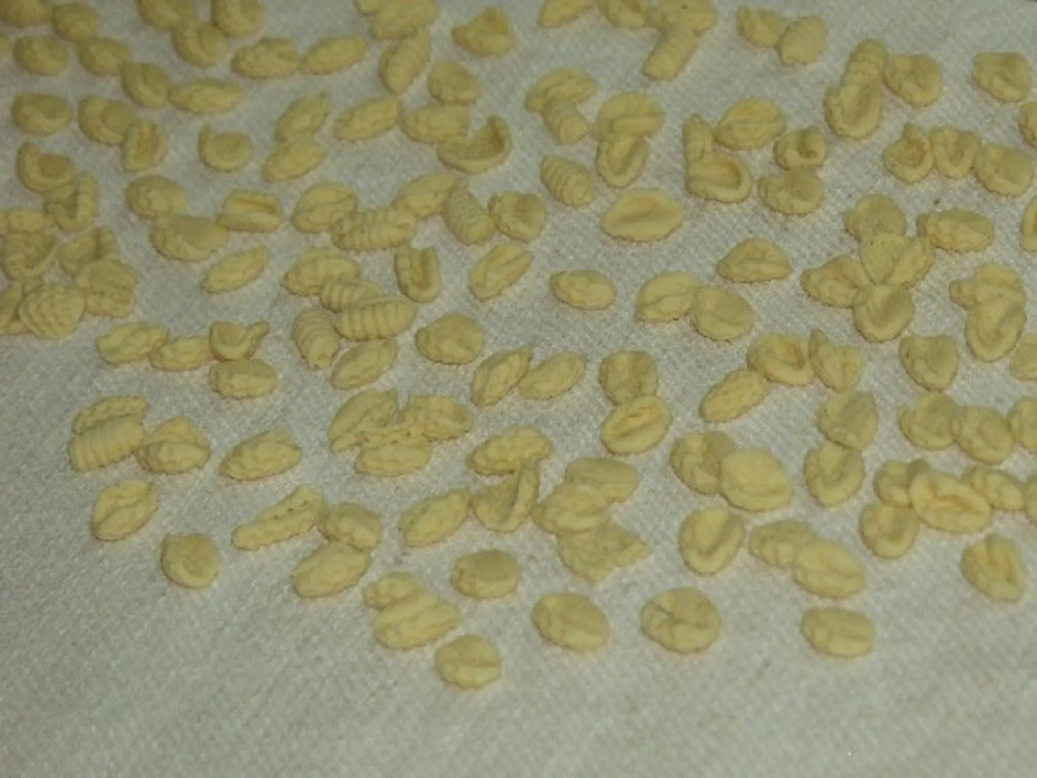 Activities in Country House S'Ozzastru